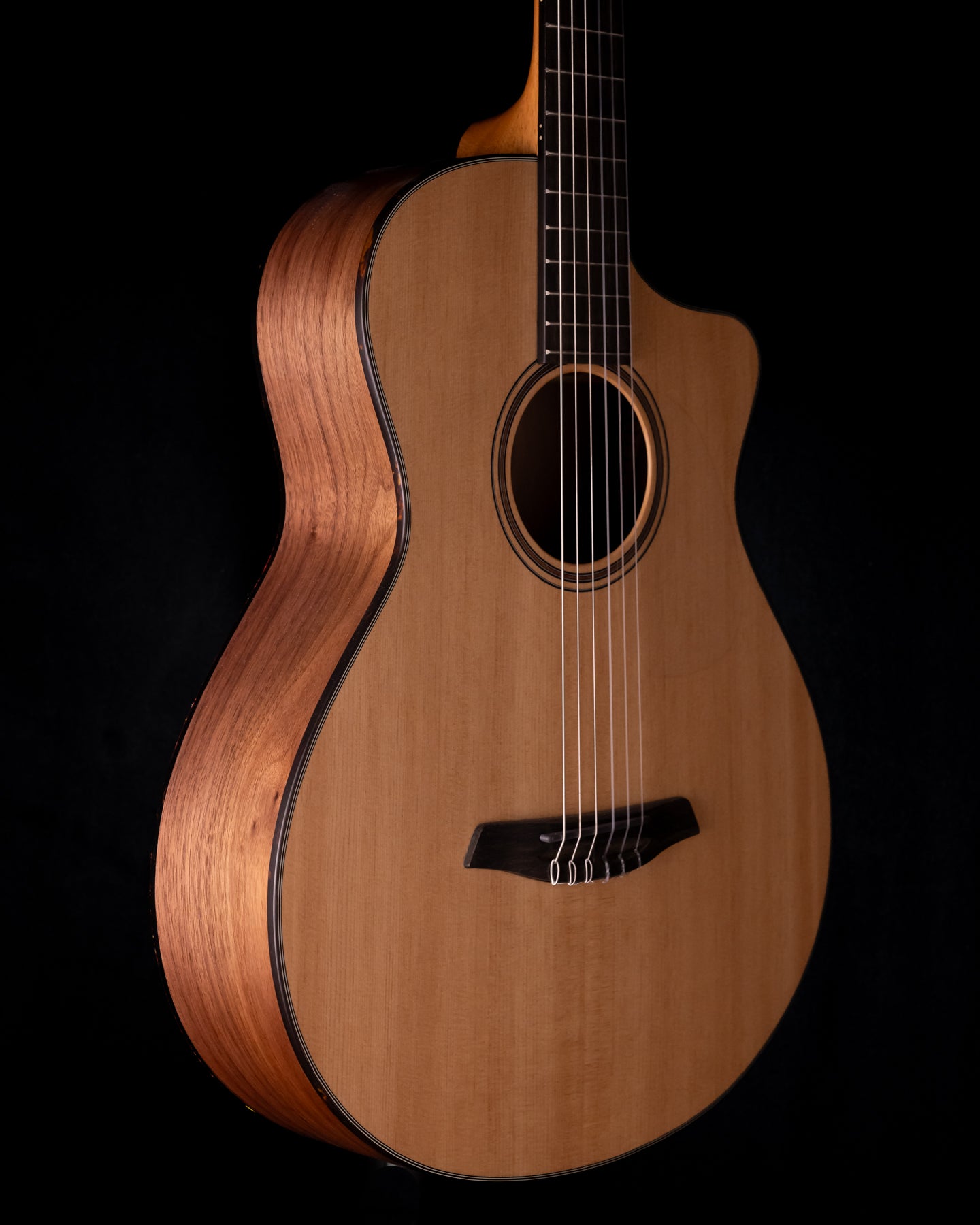 Furch GNc 2-SW Sitka Walnut Hybrid Classical