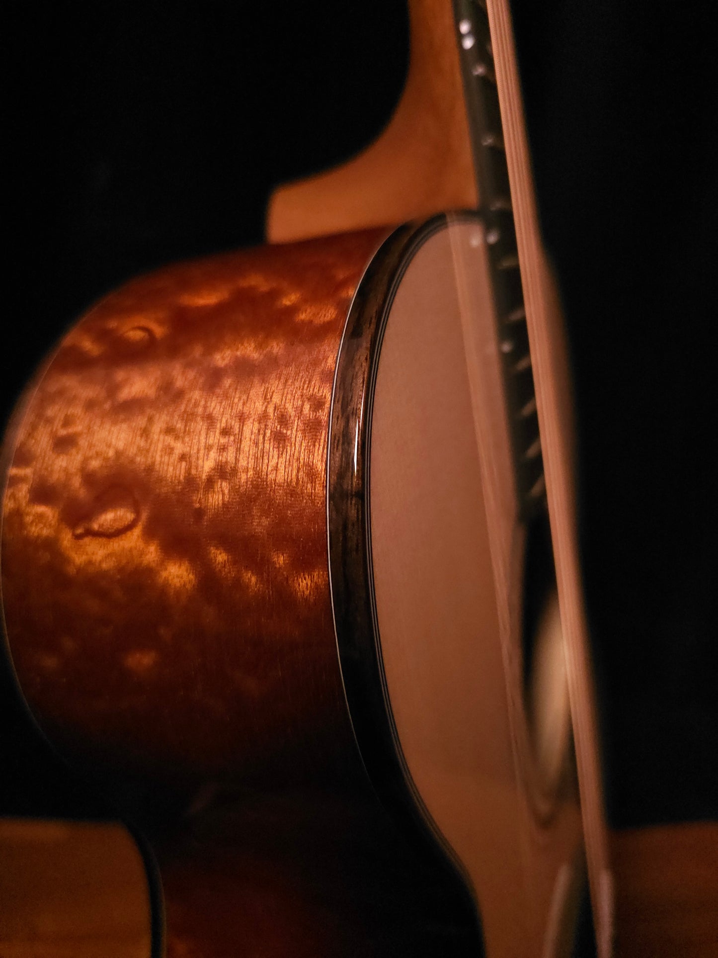 Boucher LE-SG-241-M Limited Edition Studio Goose 20th Anniversary! 5A Adirondack/ 5A Quilted Sapele