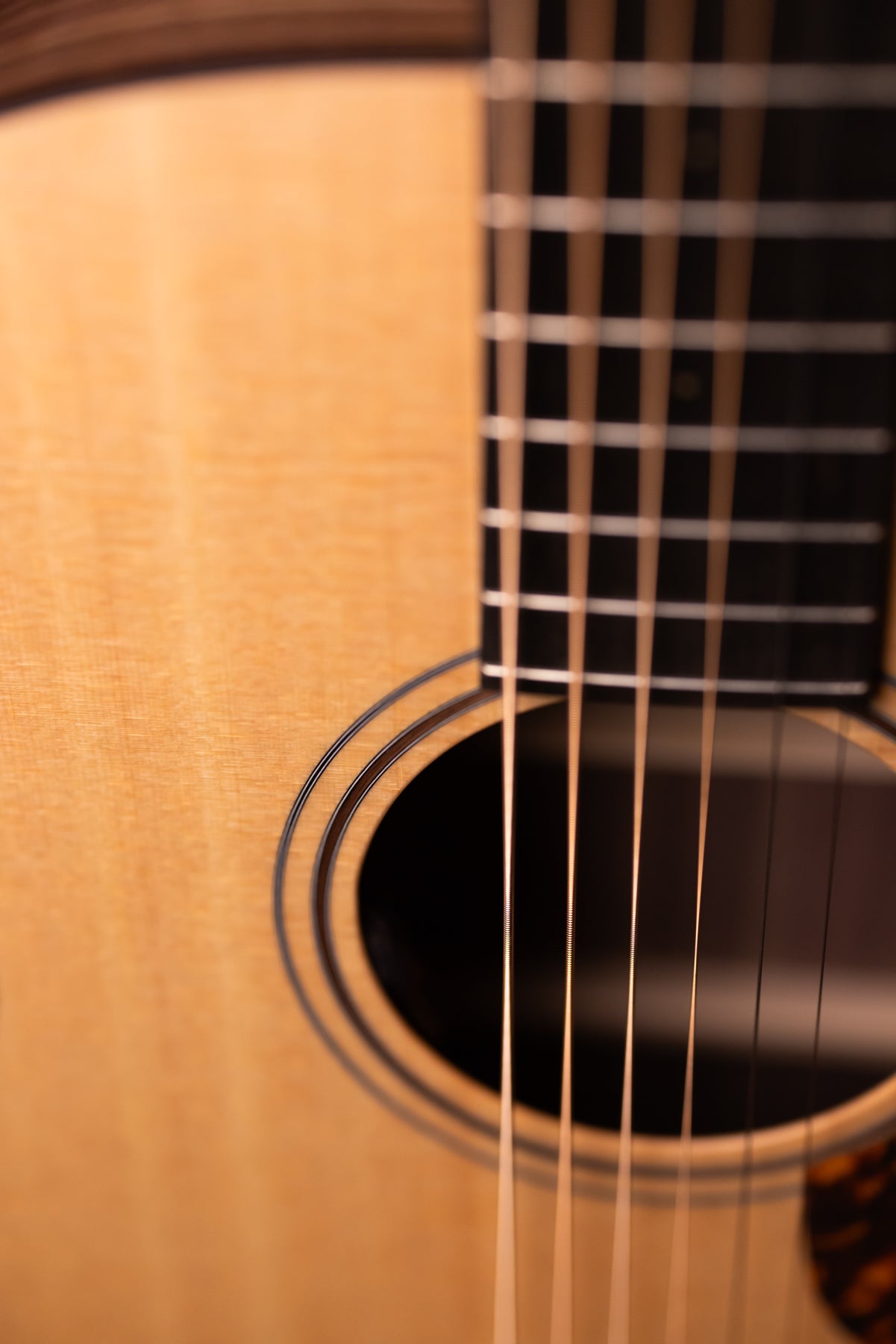 Furch Blue BARc-SW Sitka Spruce/Walnut Baritone