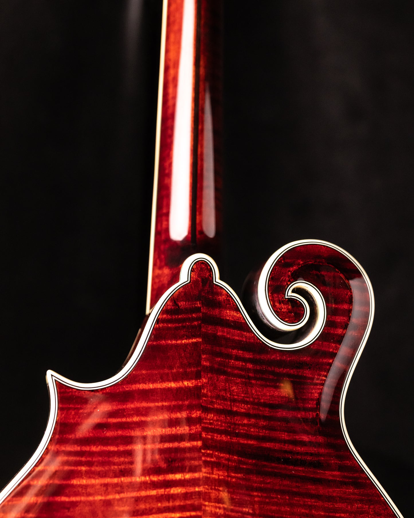 Bourgeois M5-F-BT Mandolin Black Top