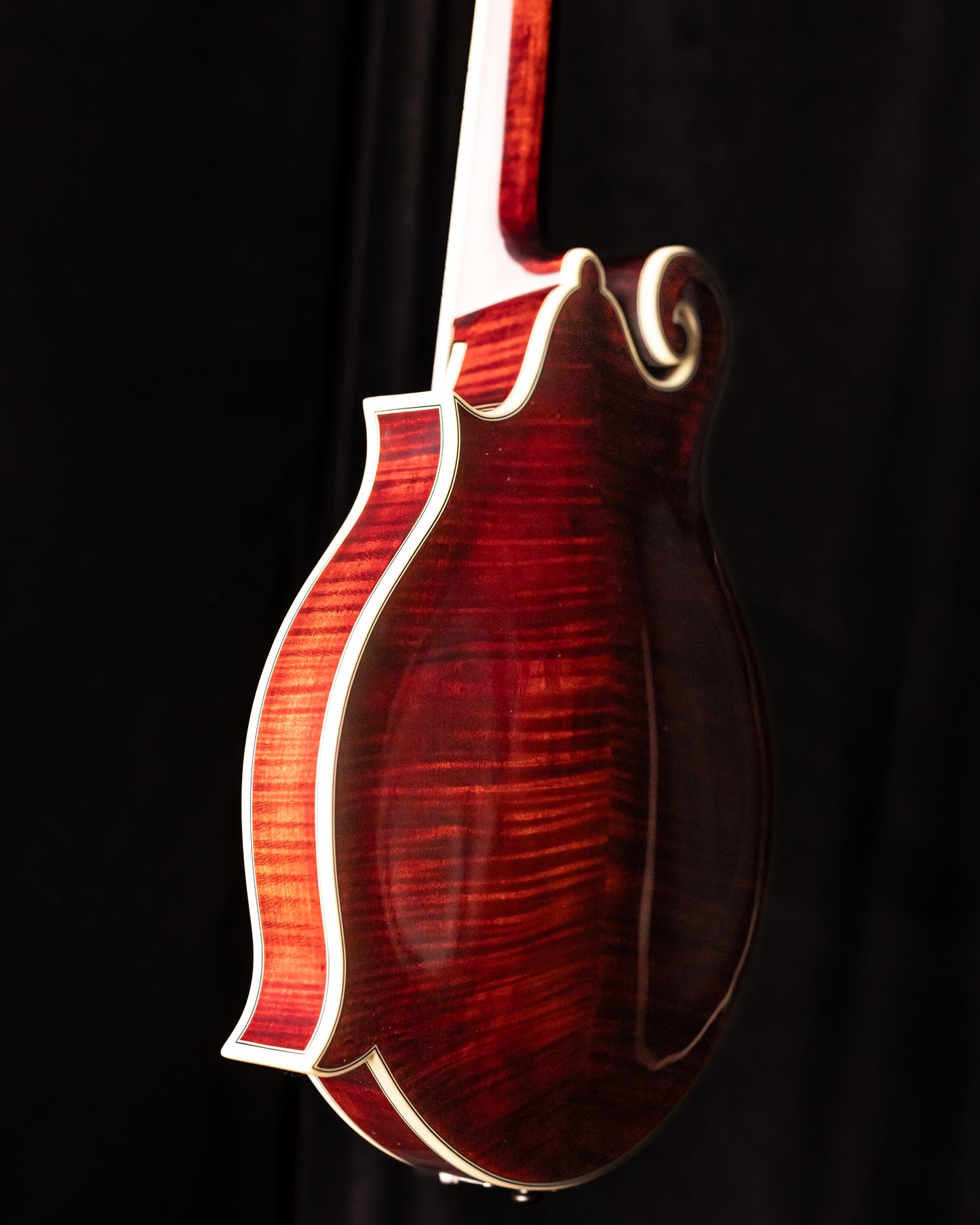 Bourgeois M5-F-BT Mandolin Black Top