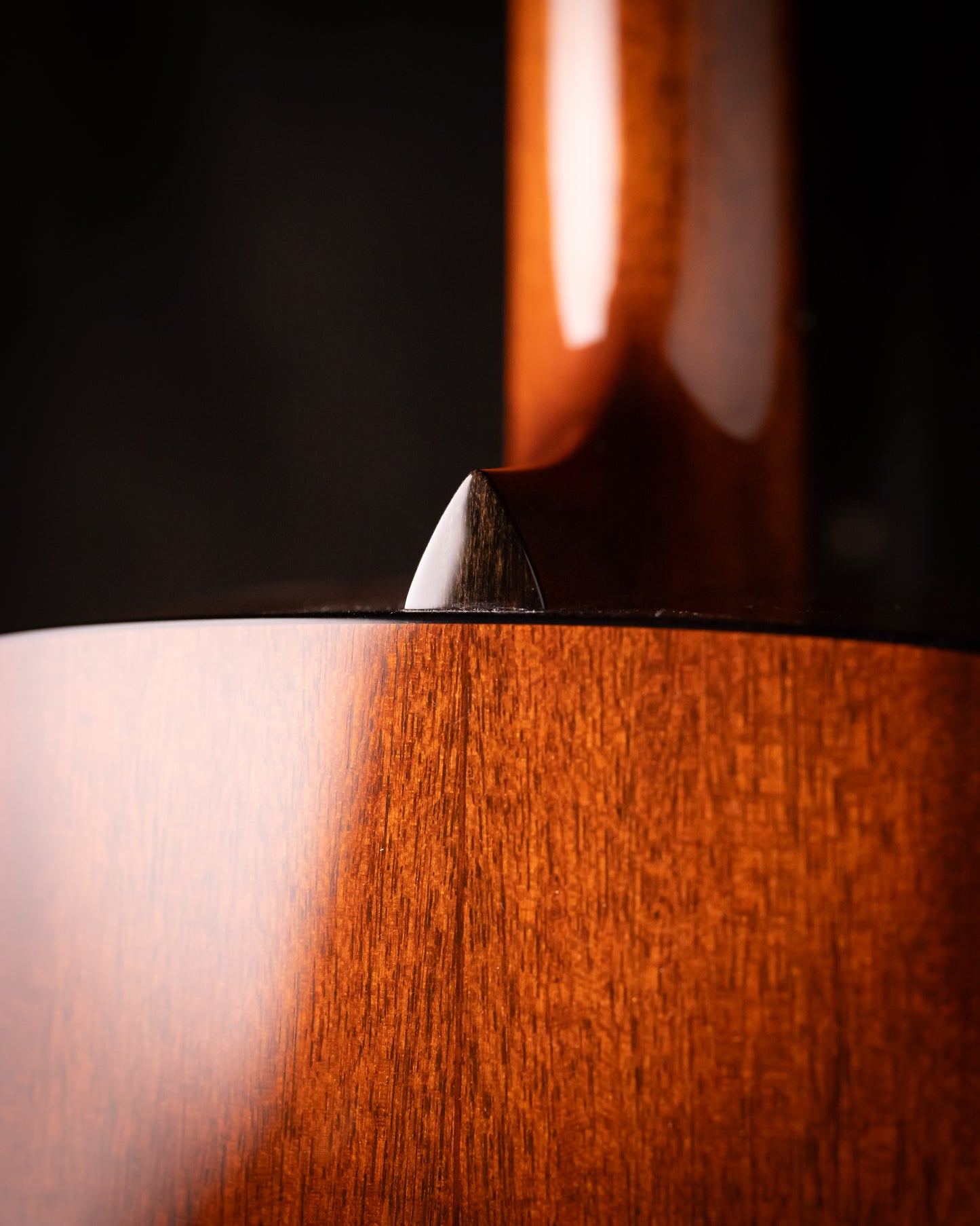 Used 2024 Collings D1 Dreadnaught Sitka/Mahogany