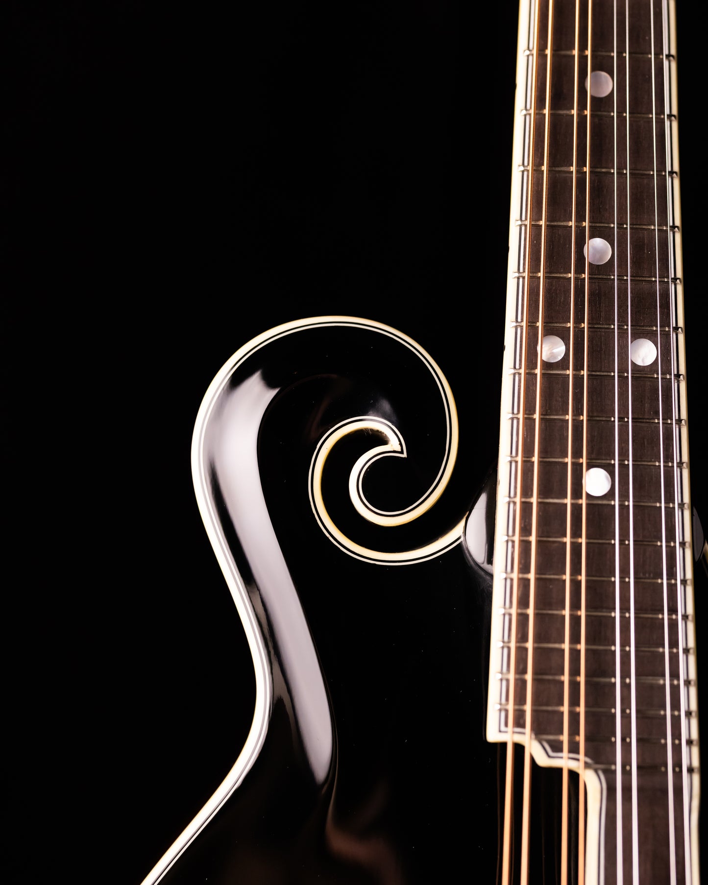 Bourgeois M5-F-BT Mandolin Black Top