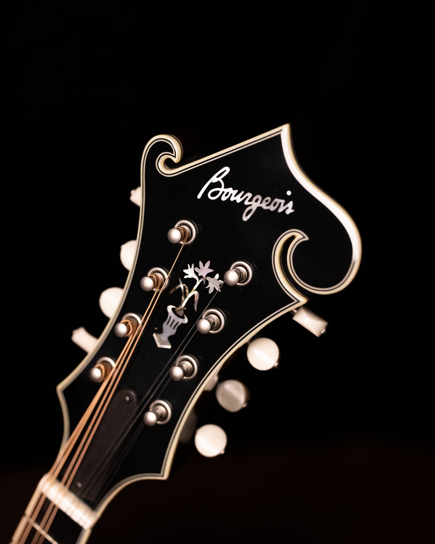 Bourgeois M5-F-BT Mandolin Black Top