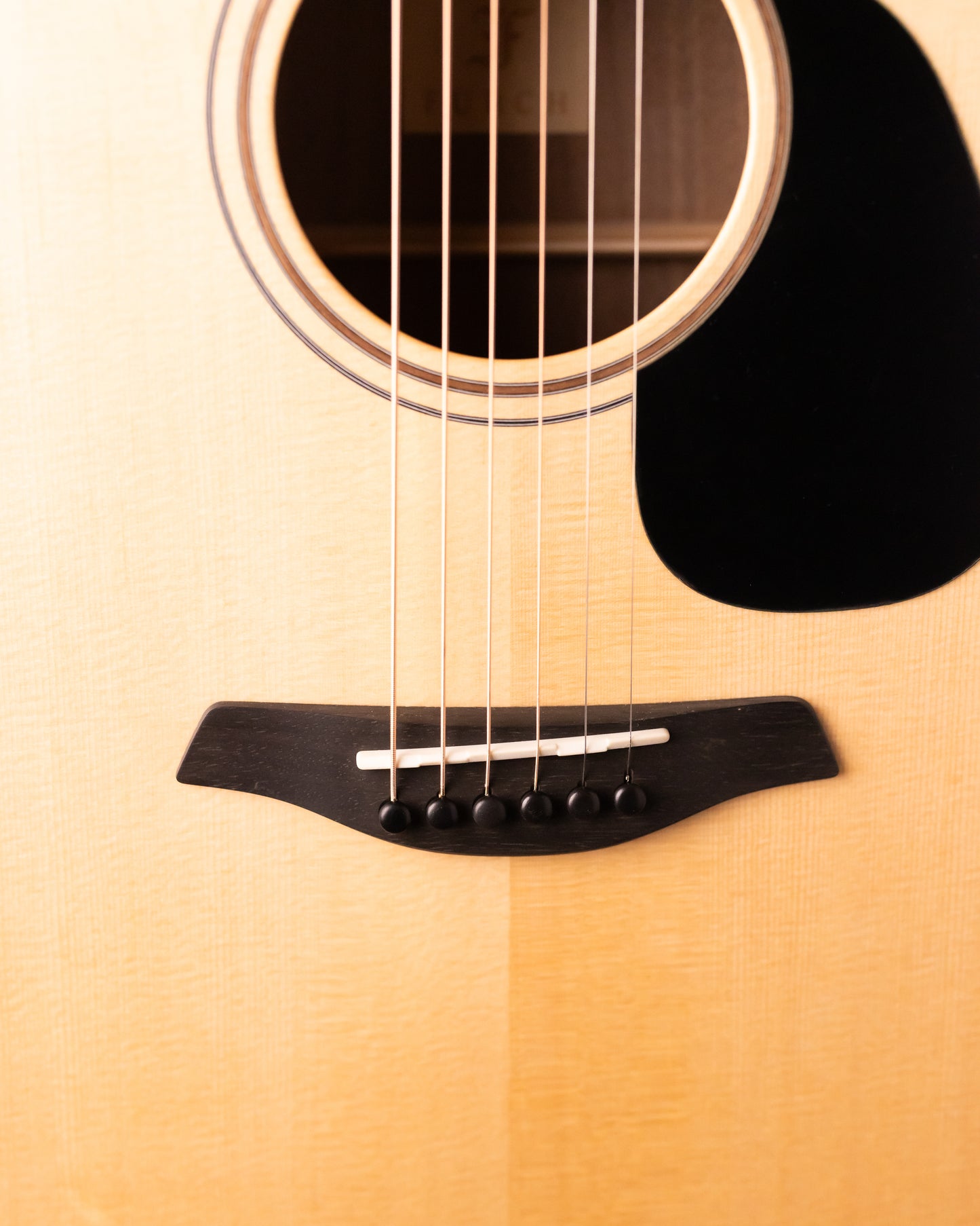 Furch Blue Deluxe Gc-SW Sitka/Black Walnut