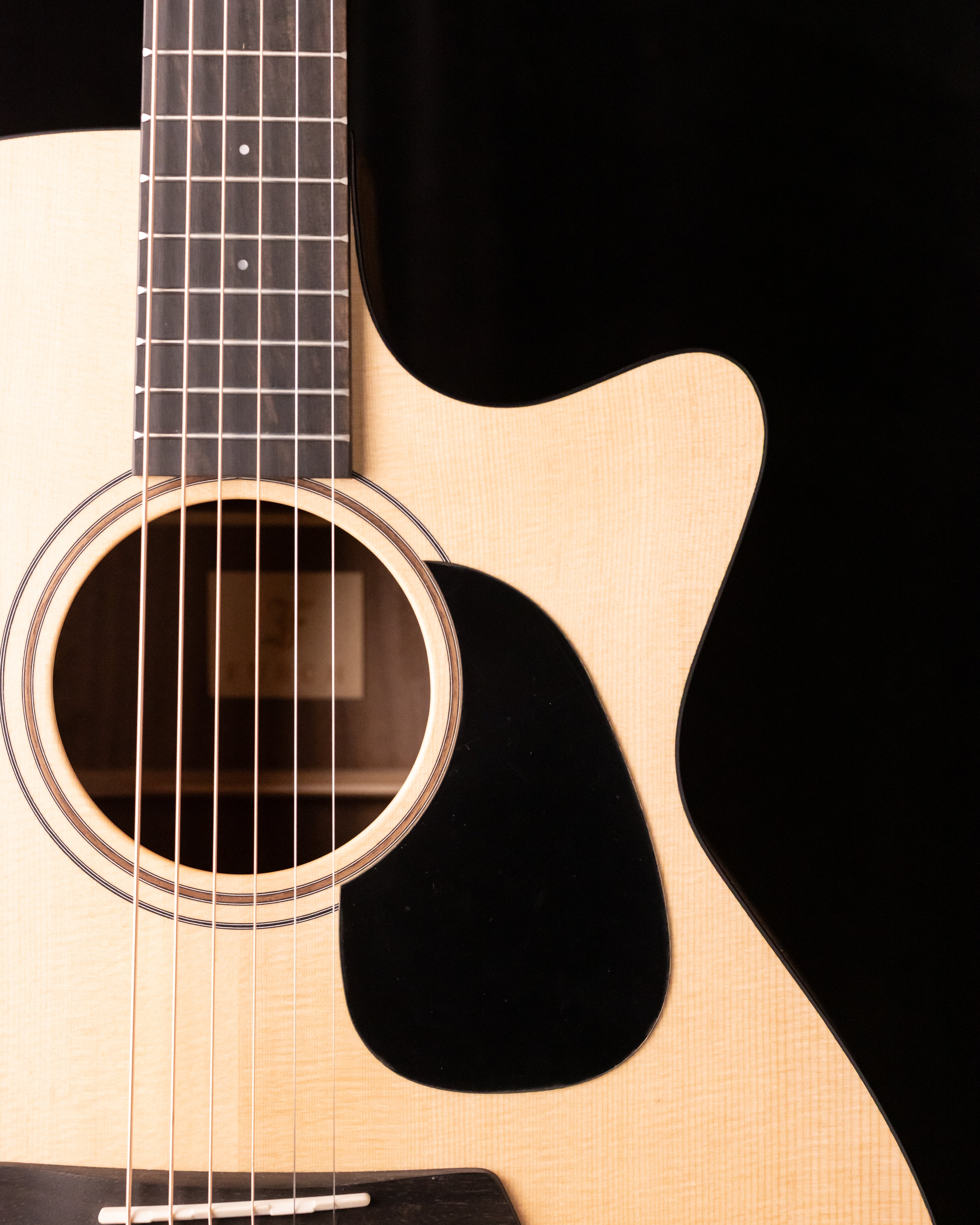 Furch Blue Deluxe Gc-SW Sitka/Black Walnut – The Fretted Buffalo