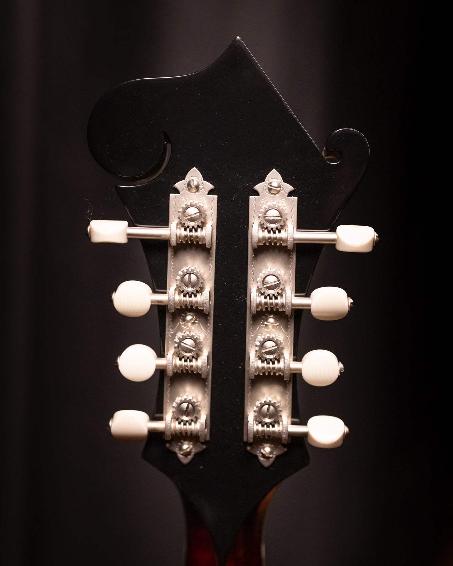 Bourgeois M5-F-BT Mandolin Black Top