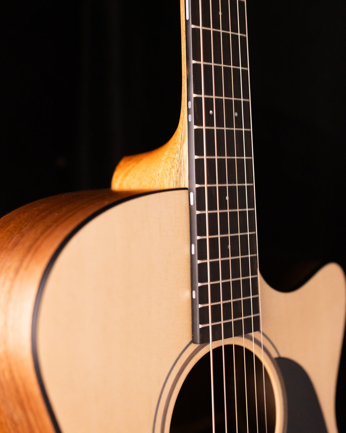 Furch Blue Deluxe Gc-SW Sitka/Black Walnut