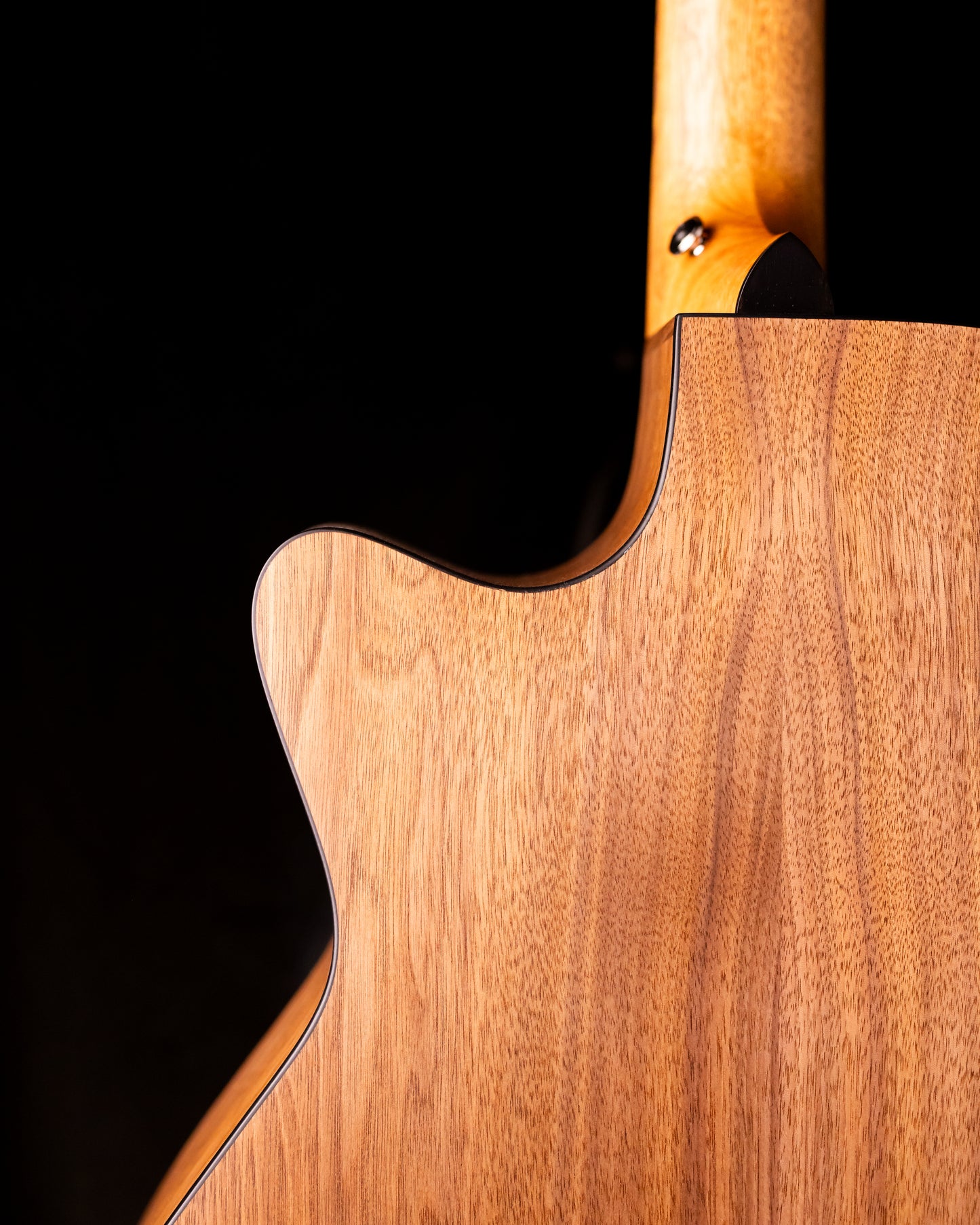 Furch Blue Deluxe Gc-SW Sitka/Black Walnut