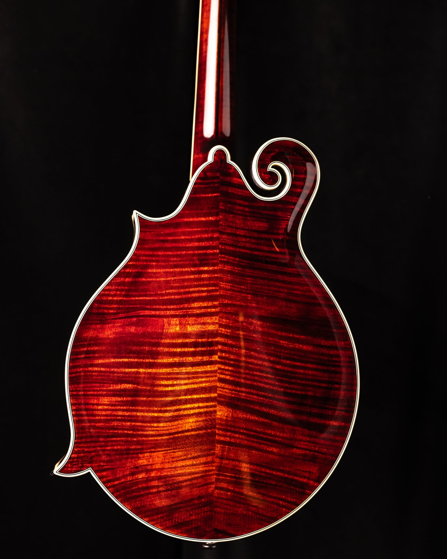 Bourgeois M5-F-BT Mandolin Black Top