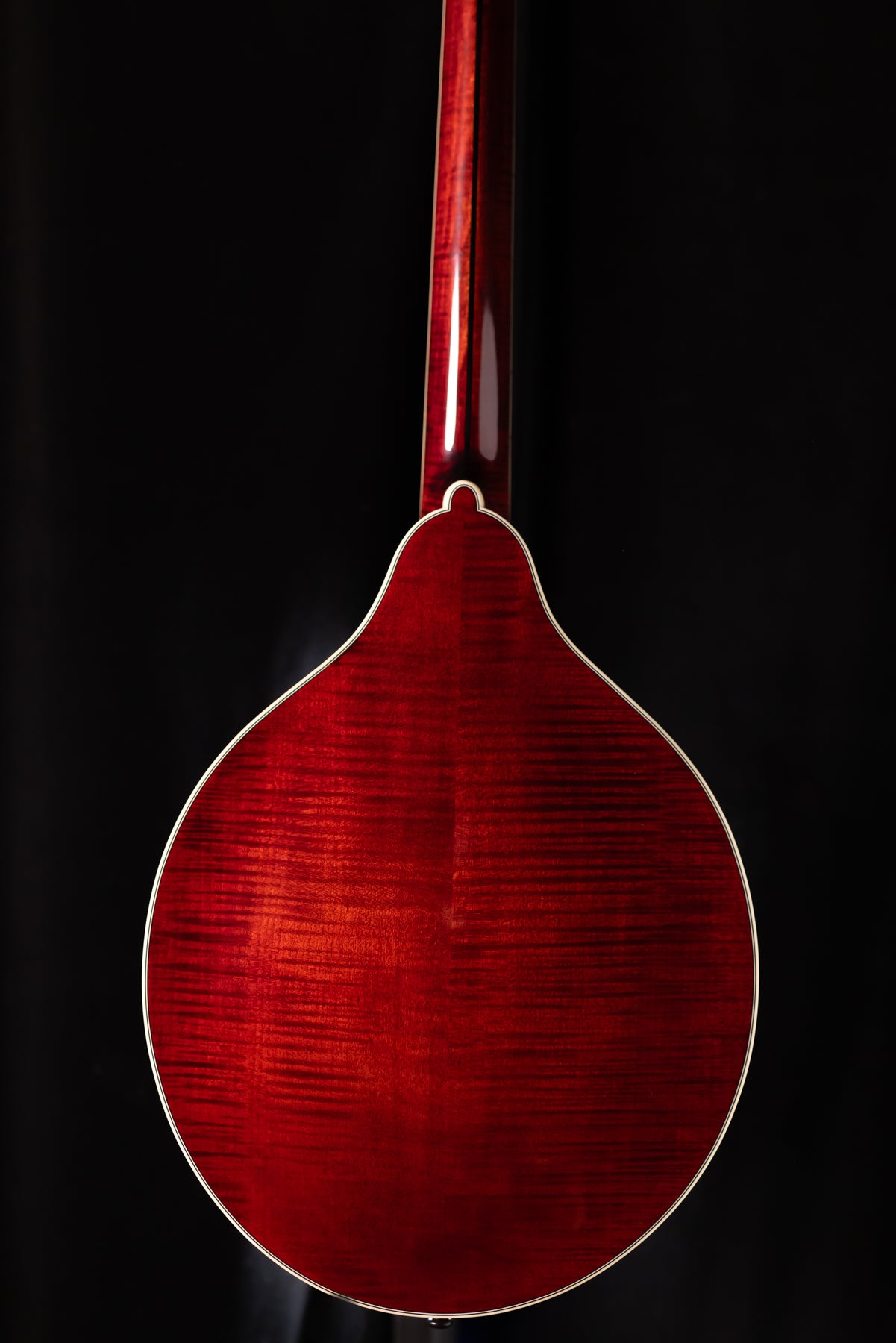 Bourgeois M5O-BT Octave Mandolin