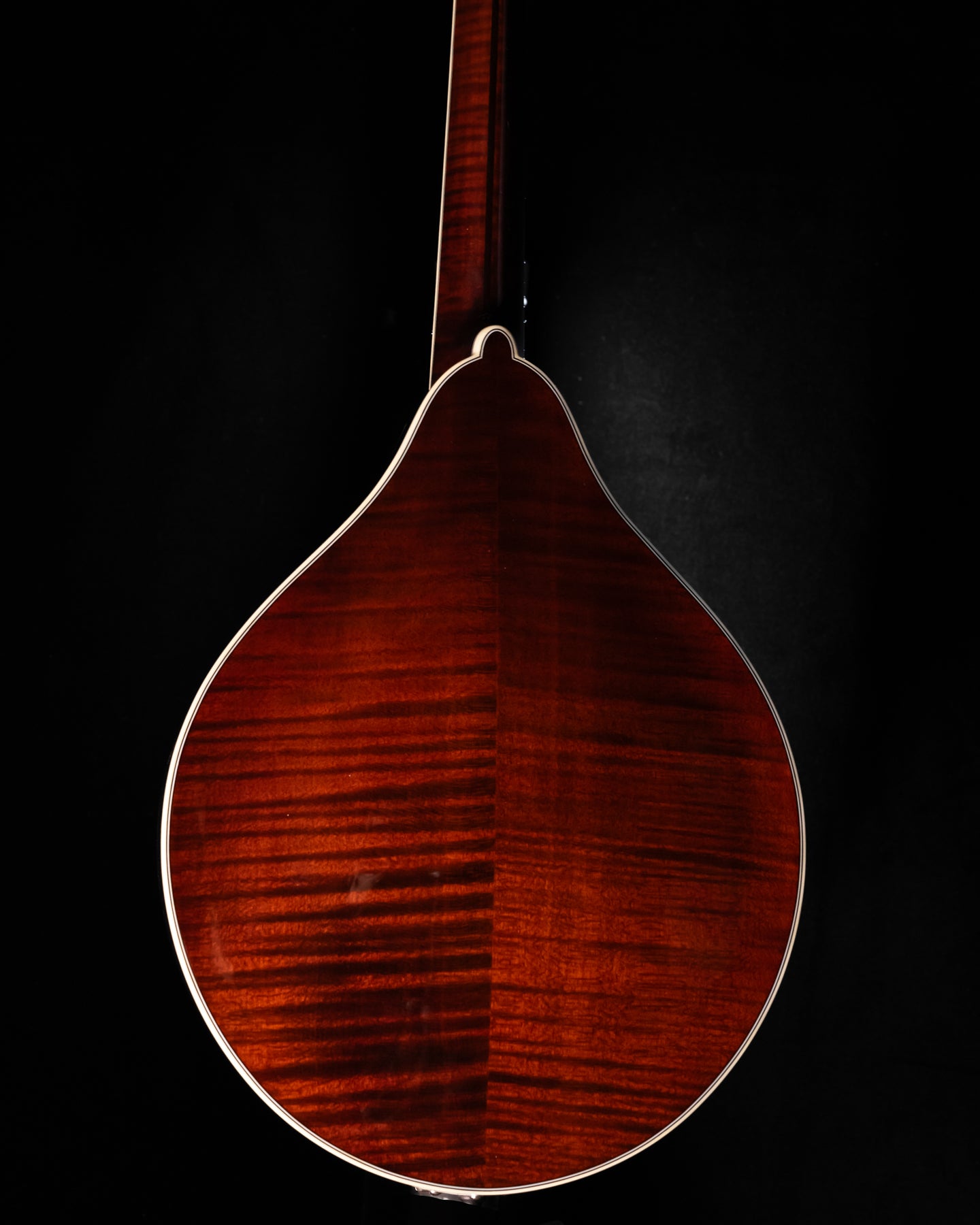 Bourgeois M5-A-BT Mandolin Torrefied Adirondack