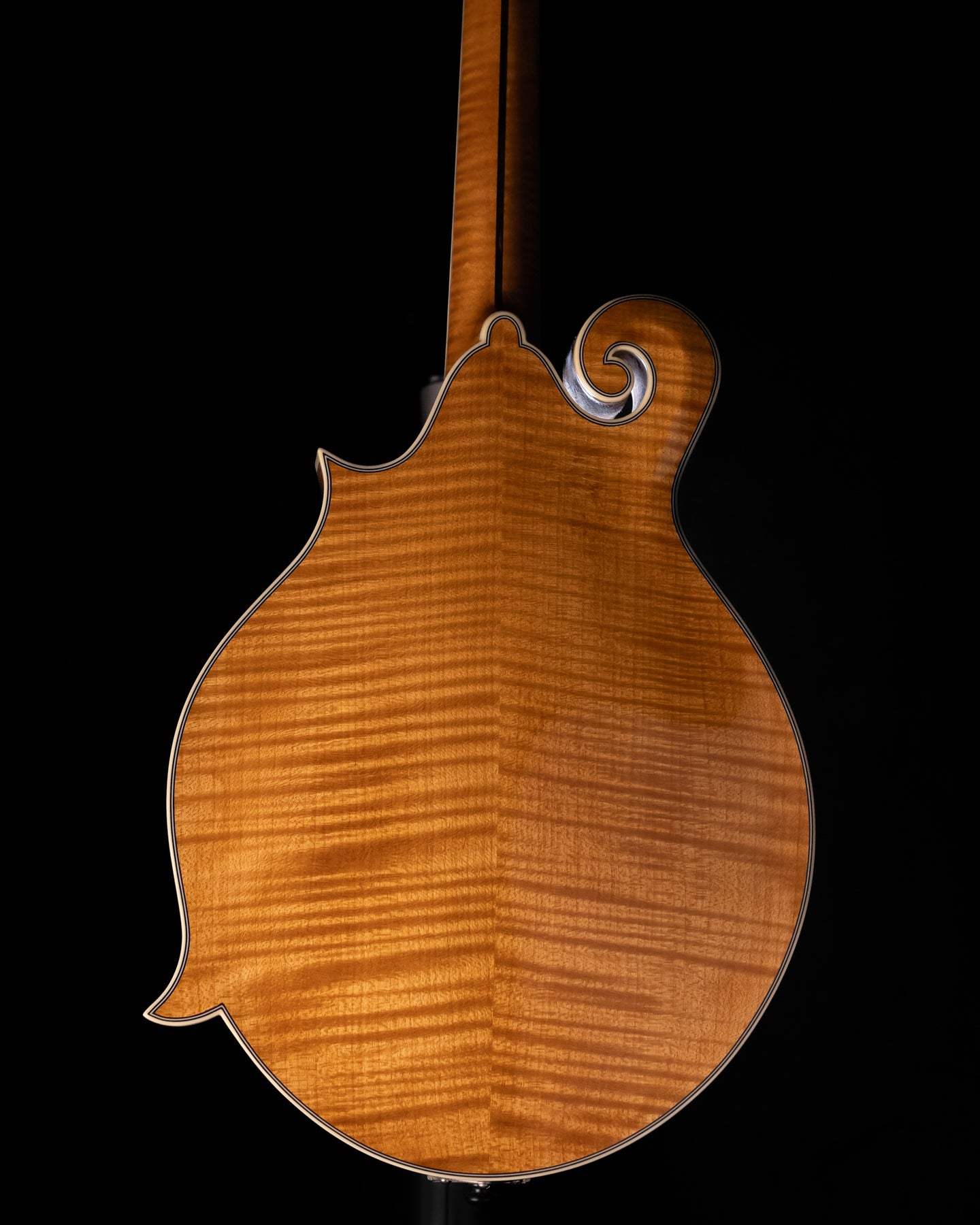 Bourgeois M5F Mandolin Torrefied Adirondack/ Highly Figured Maple