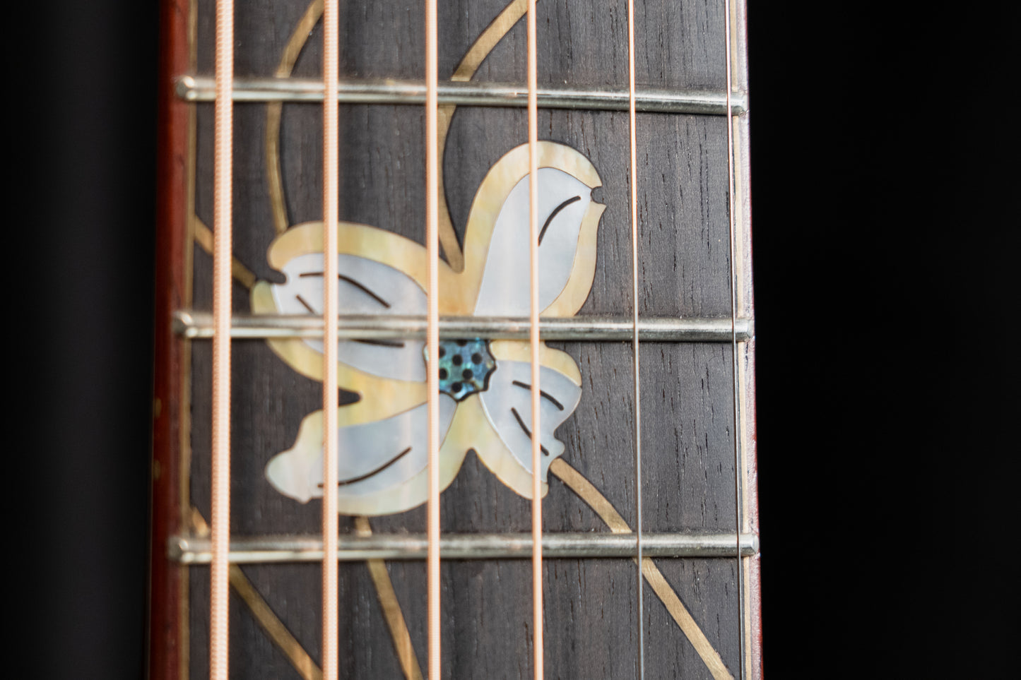 Huss & Dalton Custom Dreadnought TD-R 30th Anniversary Master Grade Bear Claw Italian / Master Grade Brazilian
