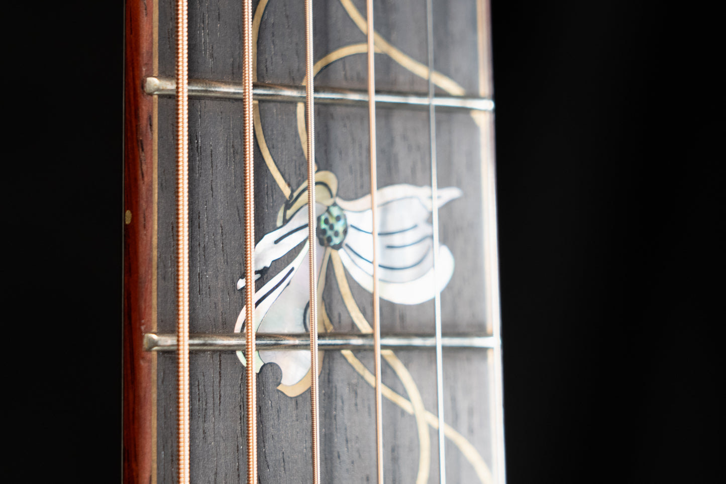 Huss & Dalton Custom Dreadnought TD-R 30th Anniversary Master Grade Bear Claw Italian / Master Grade Brazilian