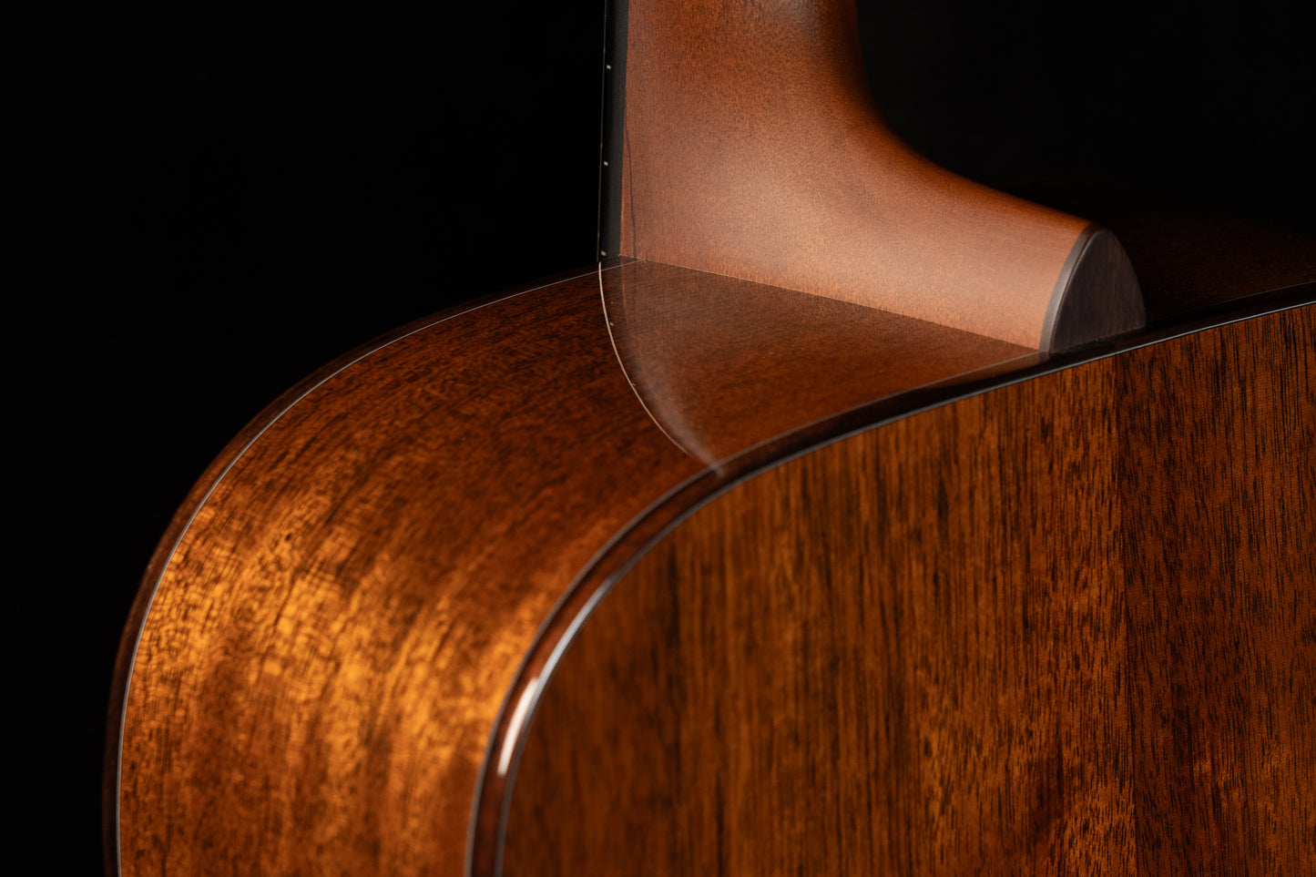 Boucher Bluegrass Goose BG-42T-G Dreadnaught with Torrefied Adirondack / Torrefied Mahogany!