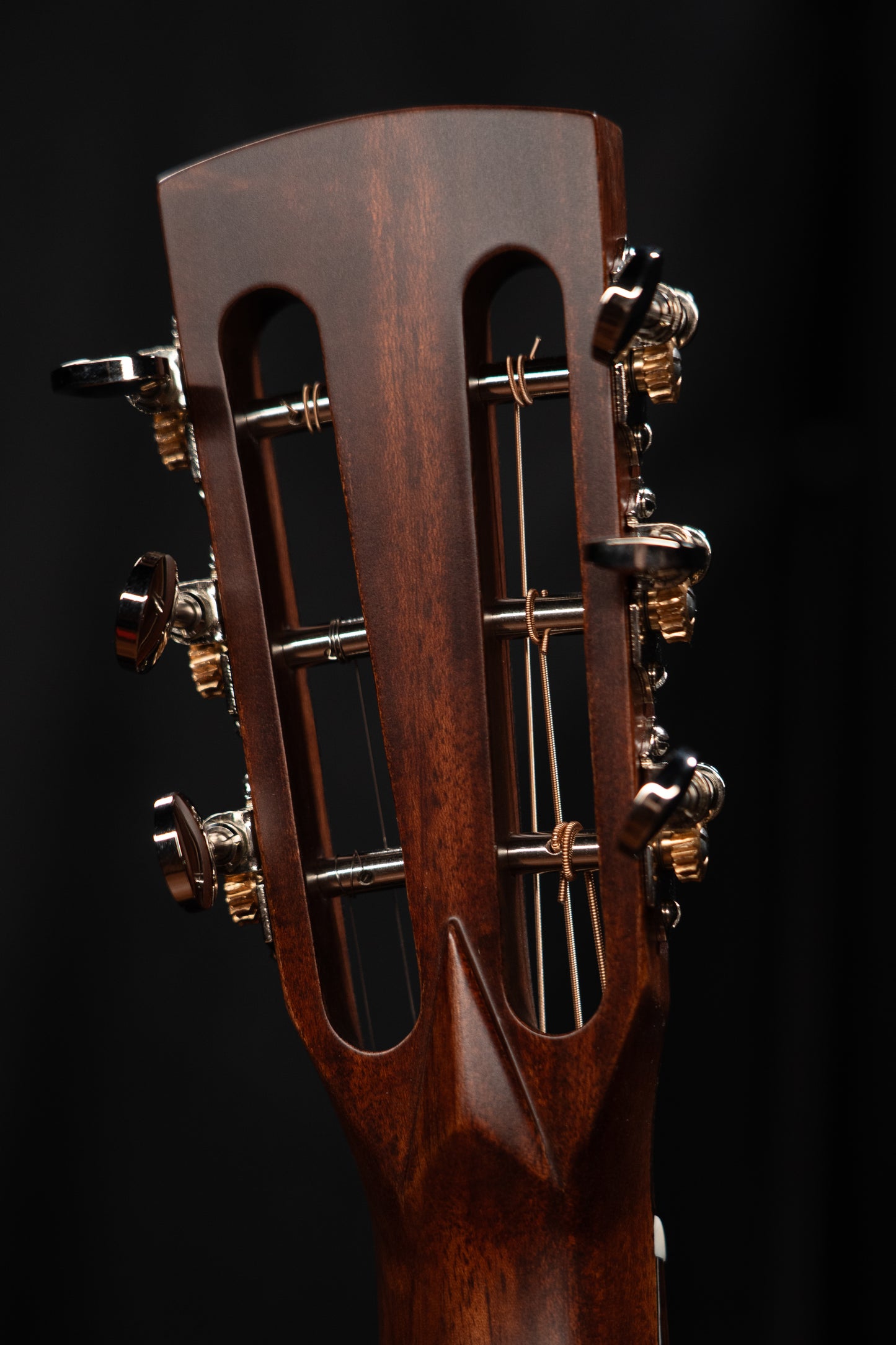Huss & Dalton OO-SP Custom 12 Fret Ancient Cypress/Sinker Mahogany
