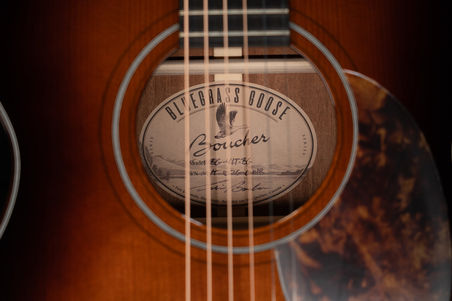 Boucher Bluegrass Goose BG-41T-BG Torrefied Adirondack/Torrefied Mahogany