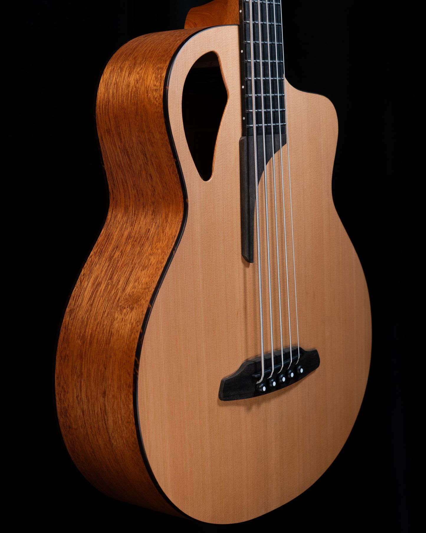 Furch Bc 61-CM5 Cedar/Mahogany 5 String! Baggs Element Active System