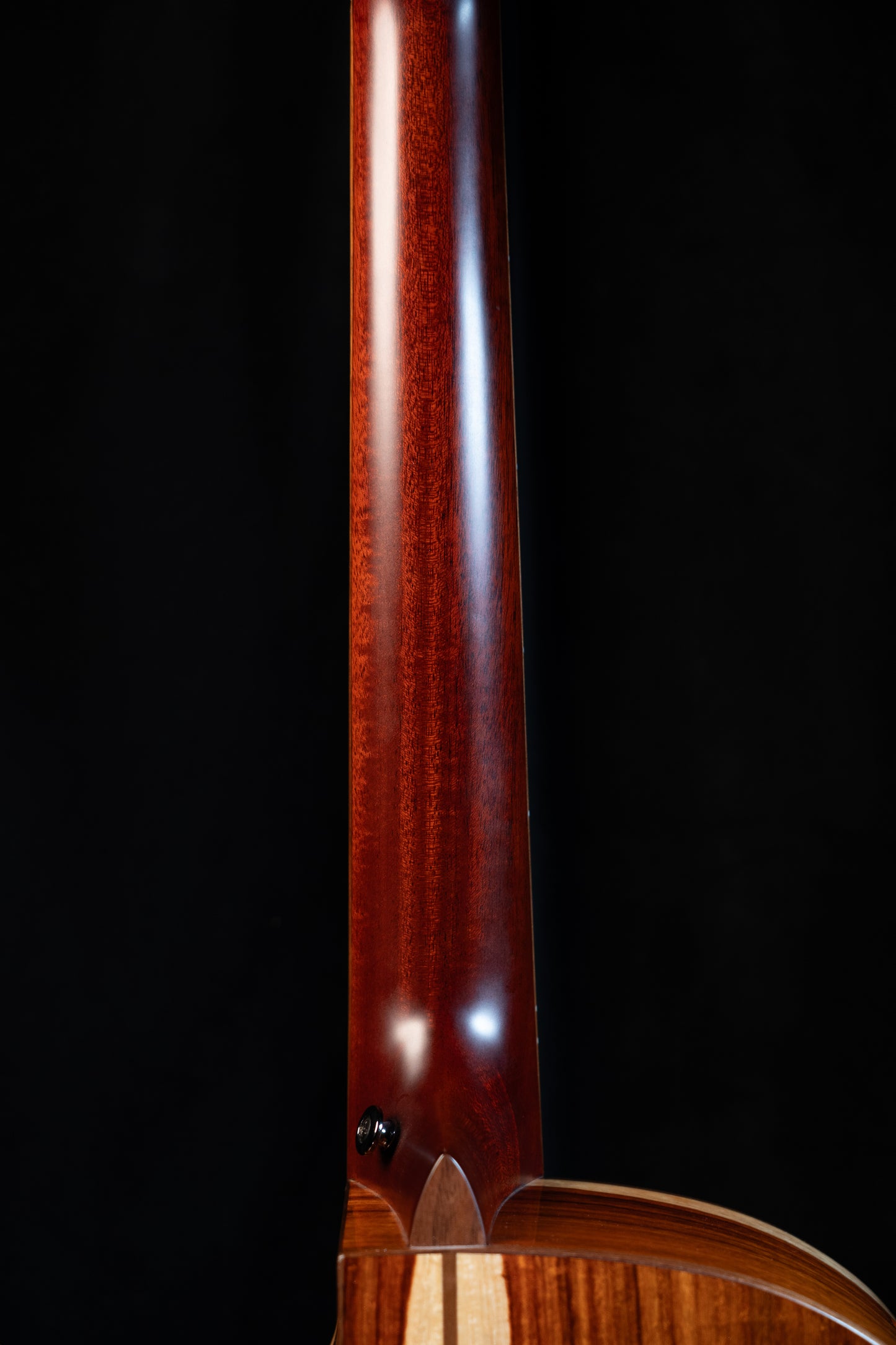 Avenir 25-AC-CSR-FF Western Red Cedar/Santos Rosewood Fan Fret Updated Pics!