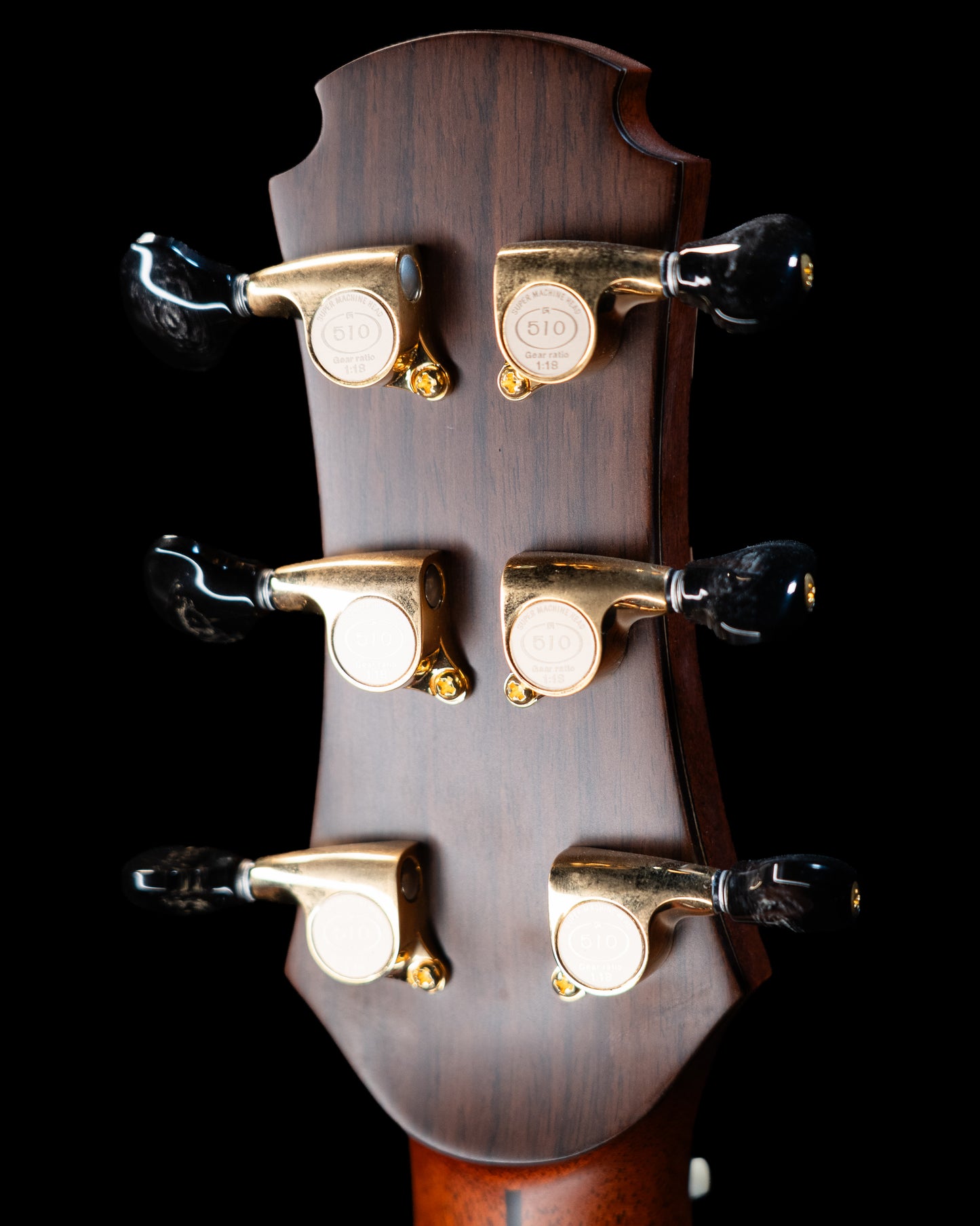 Hozen Blue Label MJ Swiss Moon Spruce/Cocobolo Fan Fret Updated Pics!