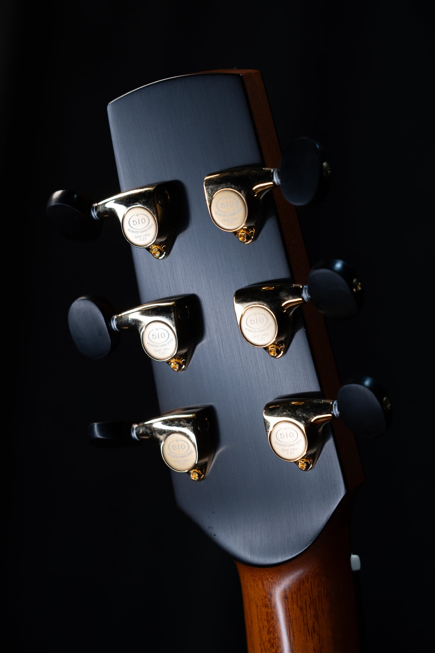 Previously Owned McNally Deep Body OM Sitka/Claro Walnut