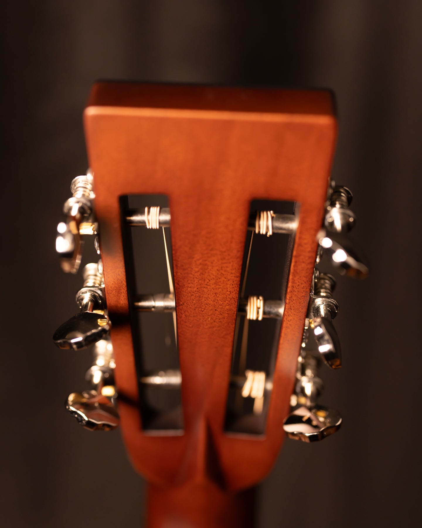 Boucher Heritage Goose HG-54-M Parlor Torrefied Adirondack/East Indian Rosewood