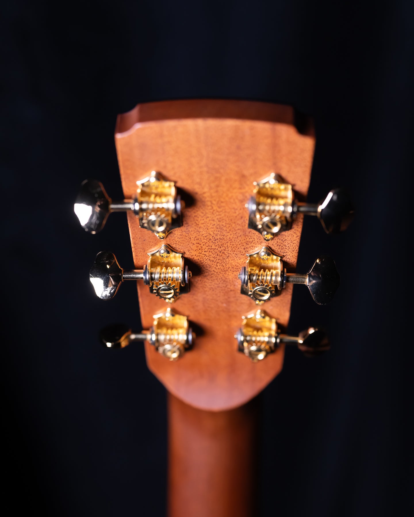 Boucher Studio Goose SG-21-G OM Torrefied Adirondack/African Bubinga