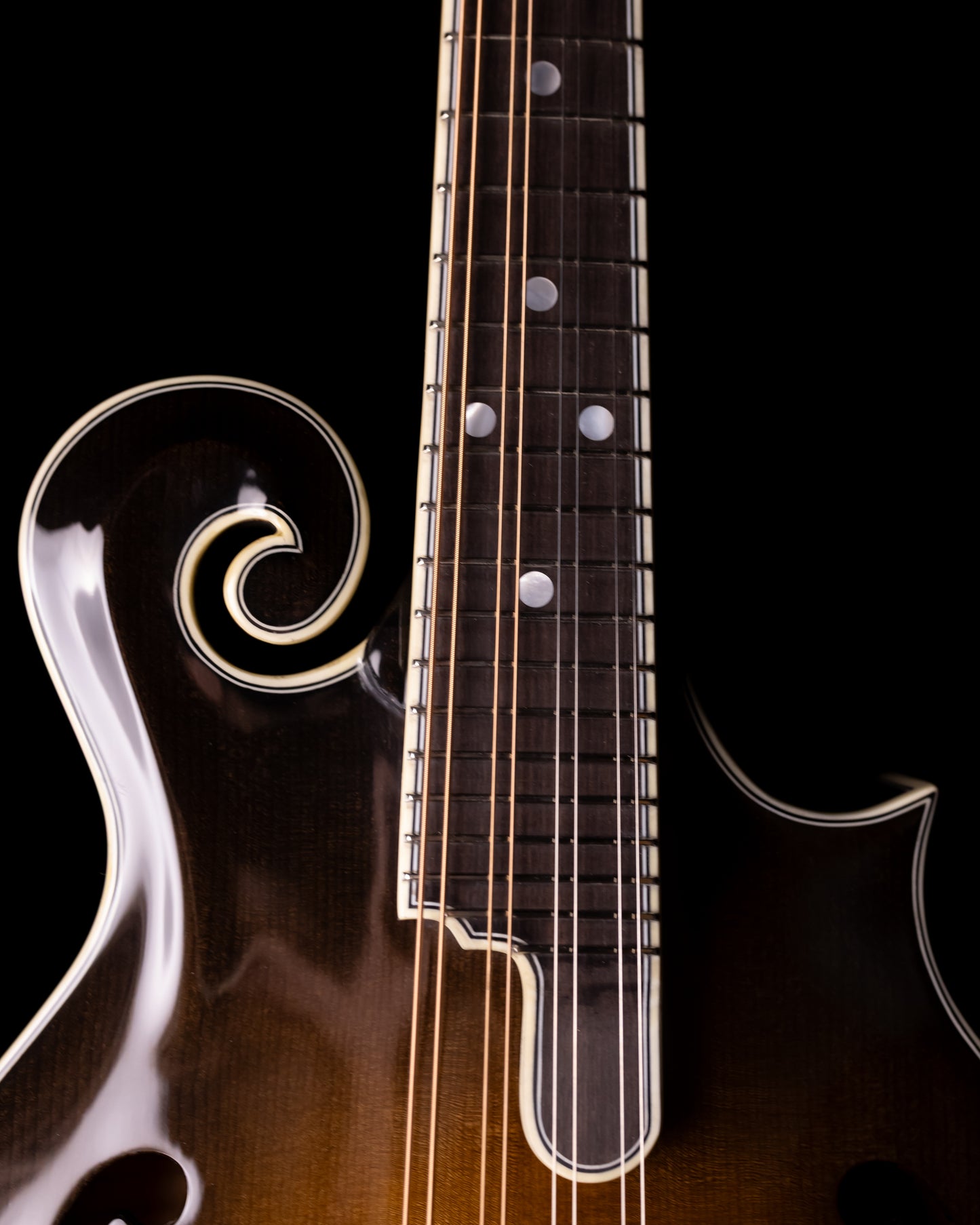 Bourgeois M5F-SB All Torrified Adirondack/European Flame Maple