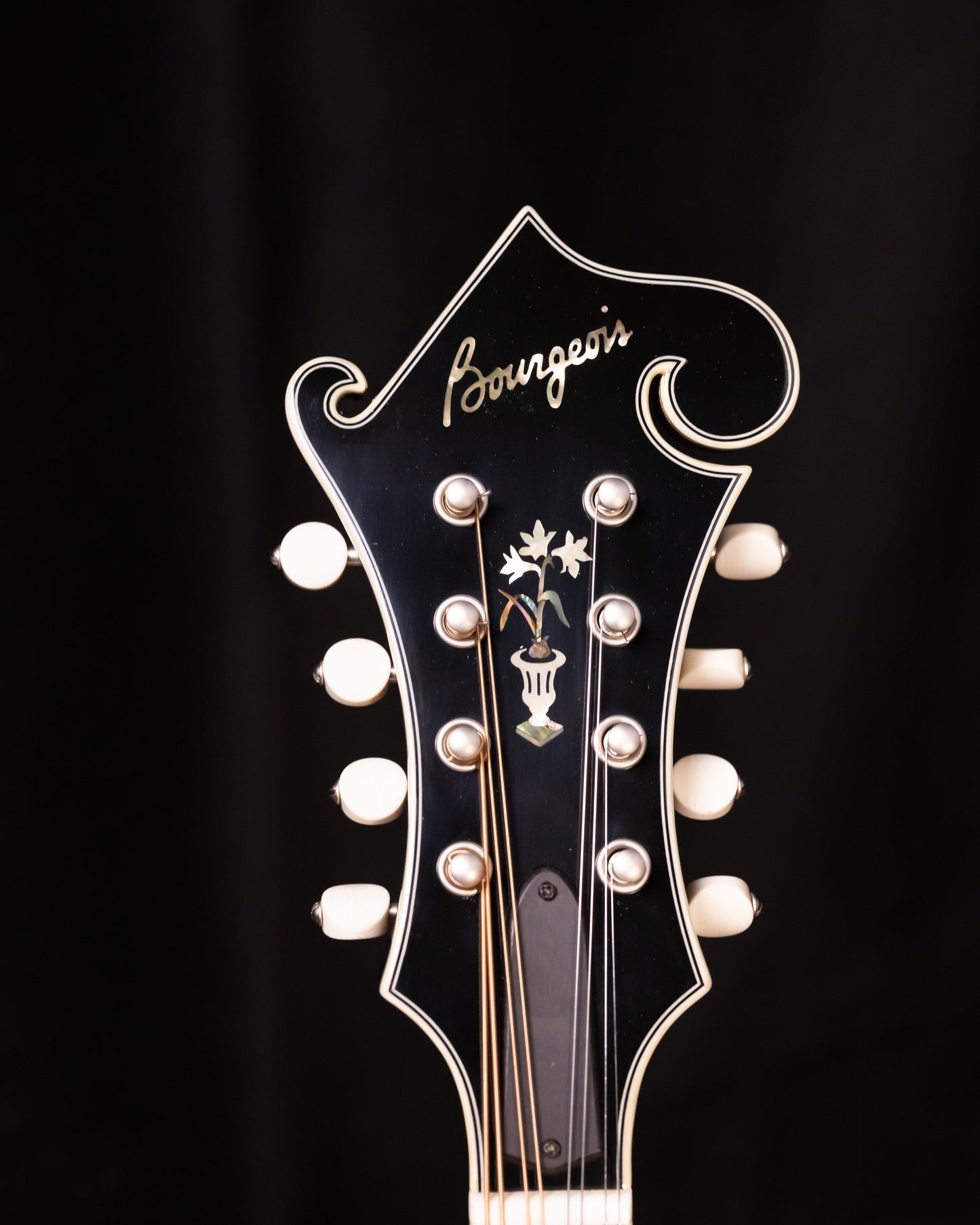 Bourgeois M5F-SB All Torrified Adirondack/European Flame Maple