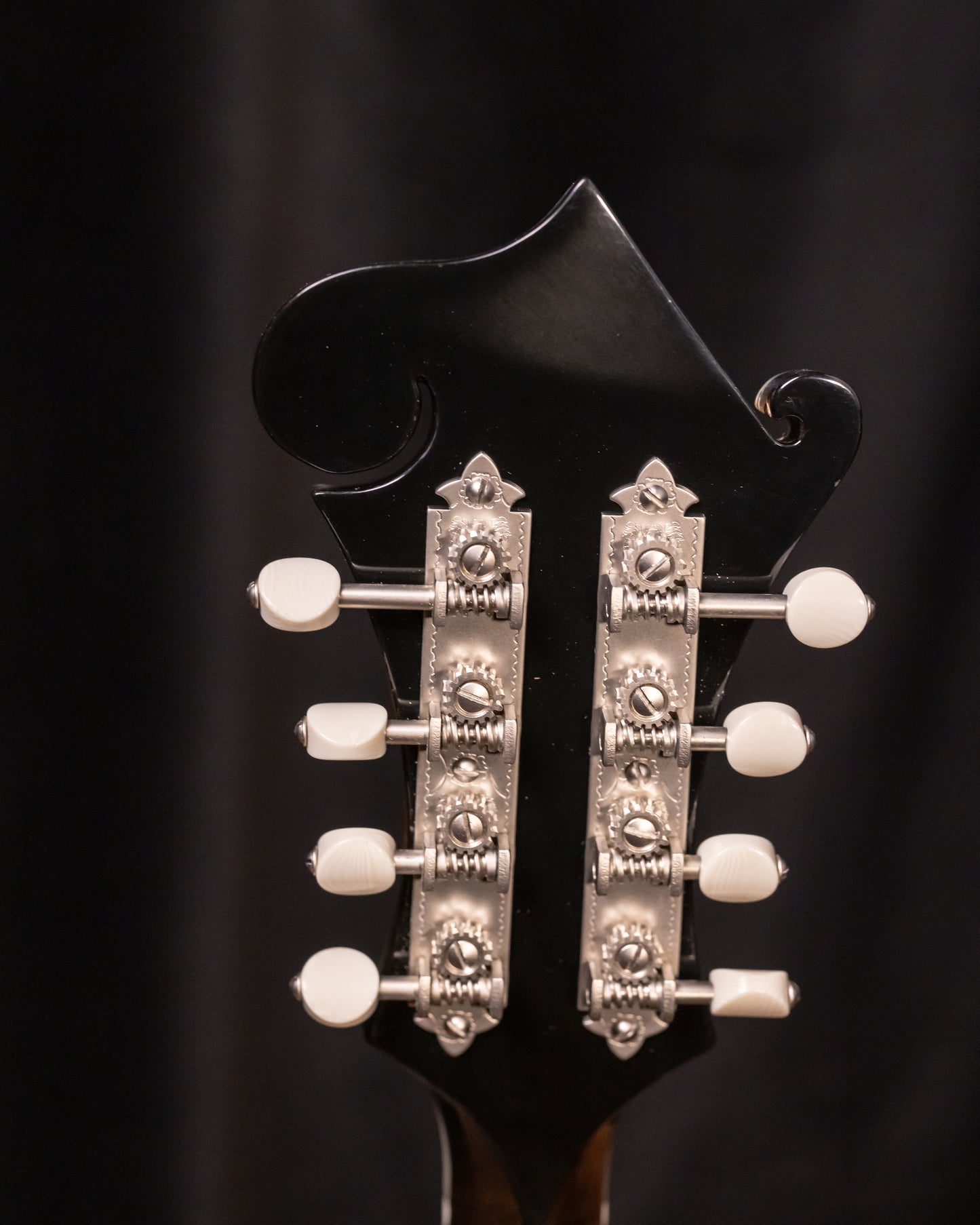 Bourgeois M5F-SB All Torrified Adirondack/European Flame Maple