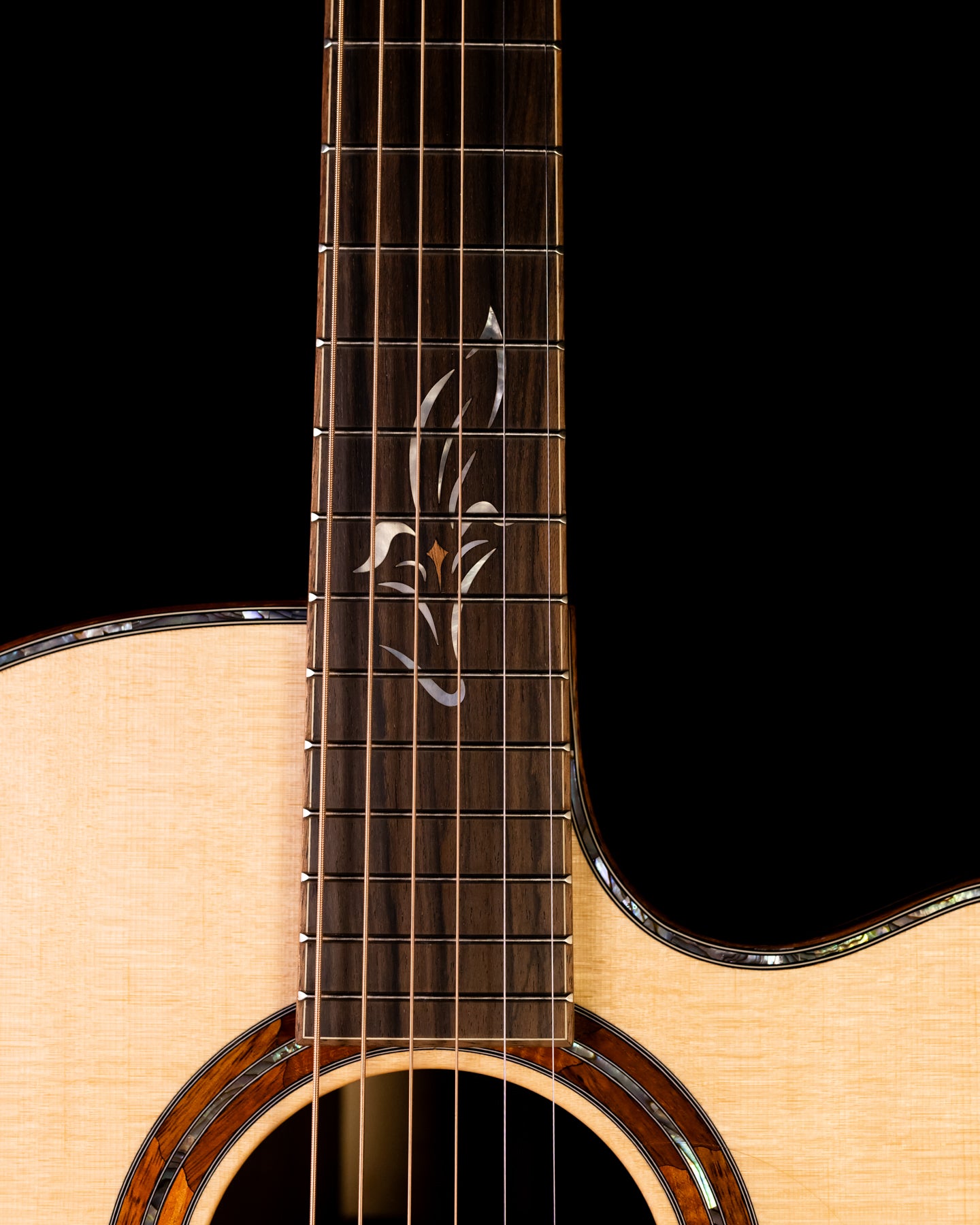 Furch Red Master's Choice Gc-SR Sitka/Rosewood LR Baggs SPA