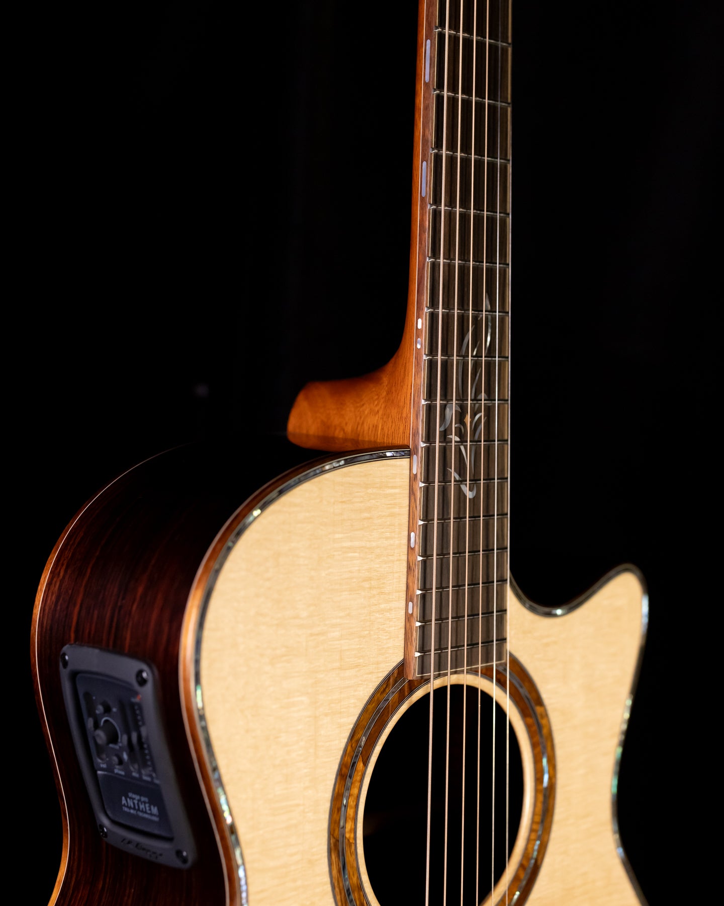 Furch Red Master's Choice Gc-SR Sitka/Rosewood LR Baggs SPA