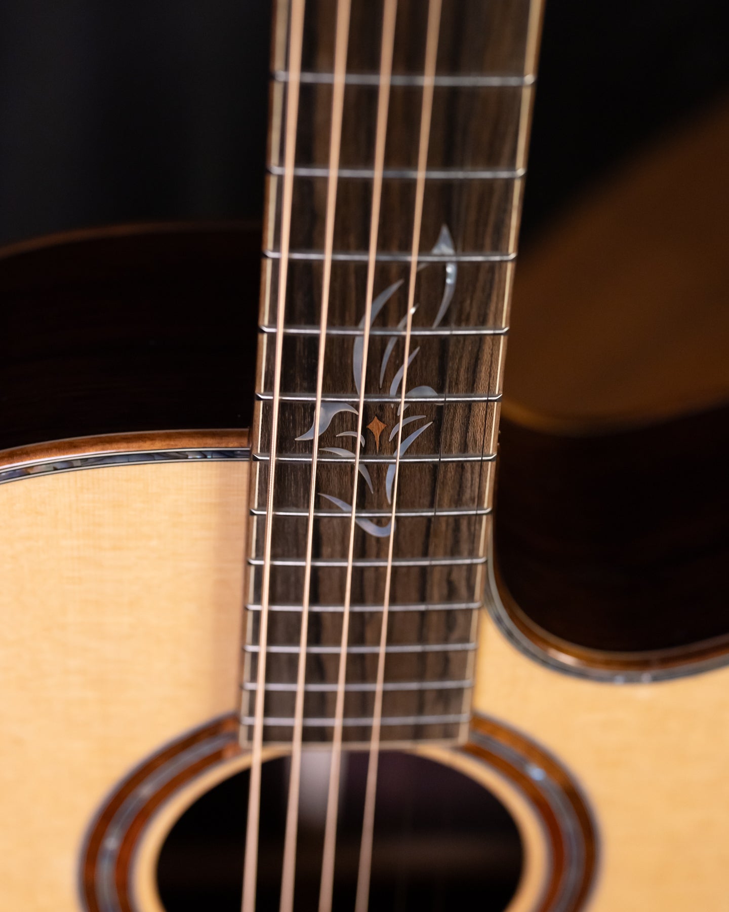 Furch Red Master's Choice Gc-SR Sitka/Rosewood LR Baggs SPA