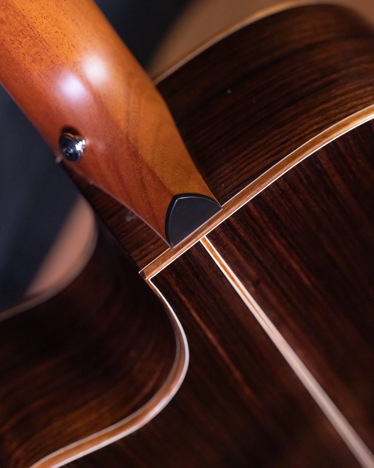 Furch Red Master's Choice Gc-SR Sitka/Rosewood LR Baggs SPA