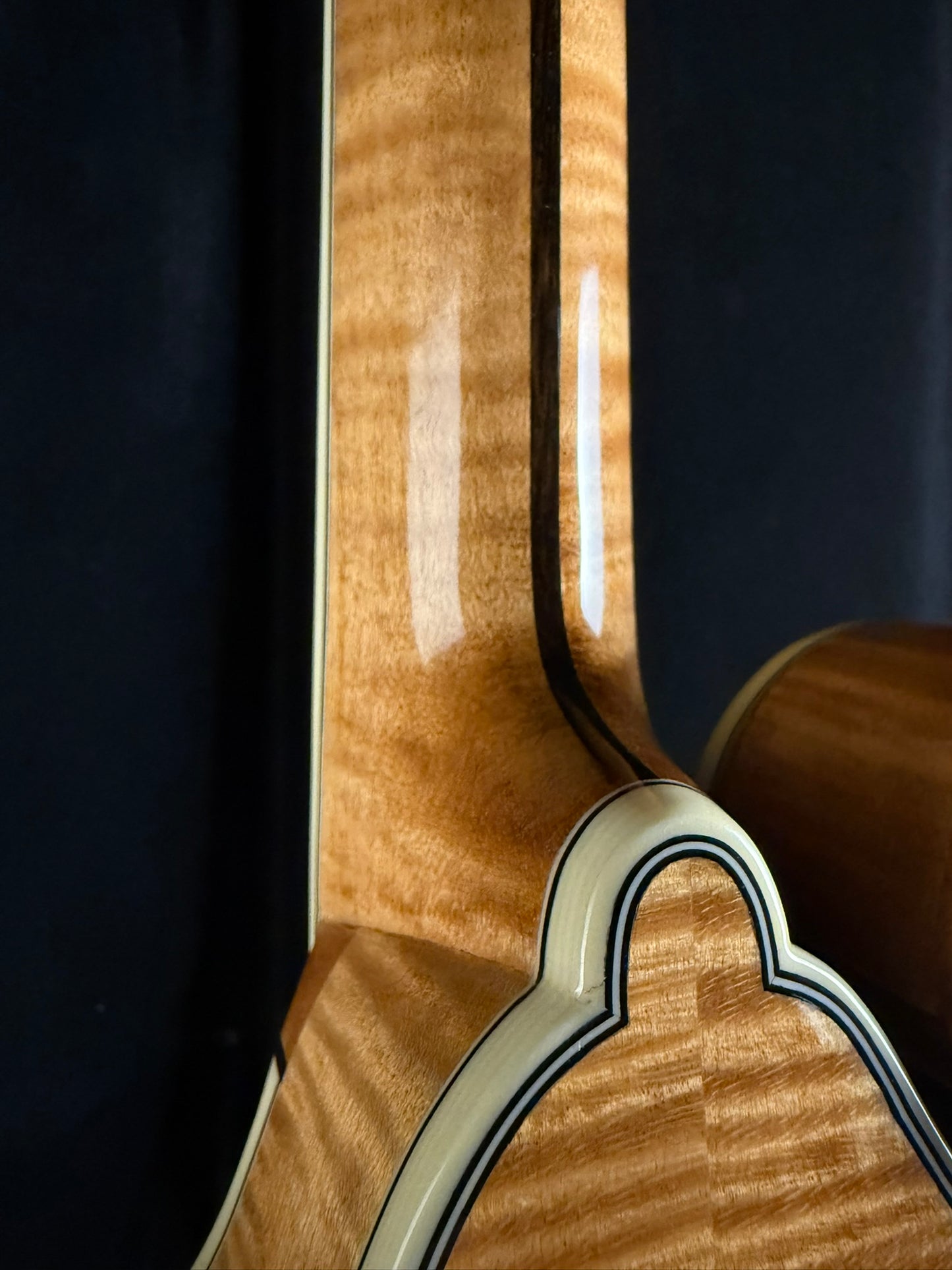 Bourgeois M5F Mandolin Torrefied Adirondack/ Highly Figured Maple