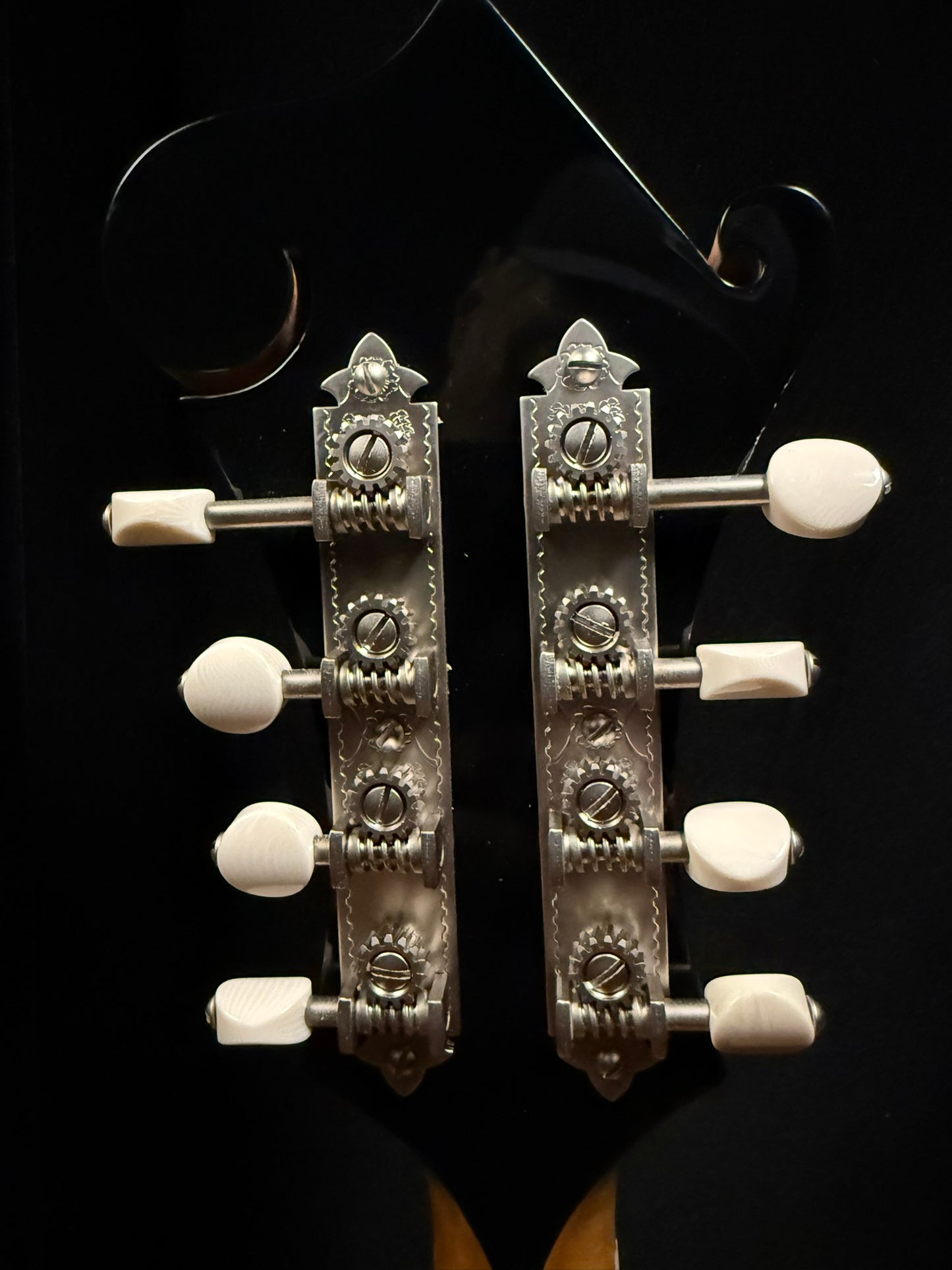 Bourgeois M5F Mandolin Torrefied Adirondack/ Highly Figured Maple