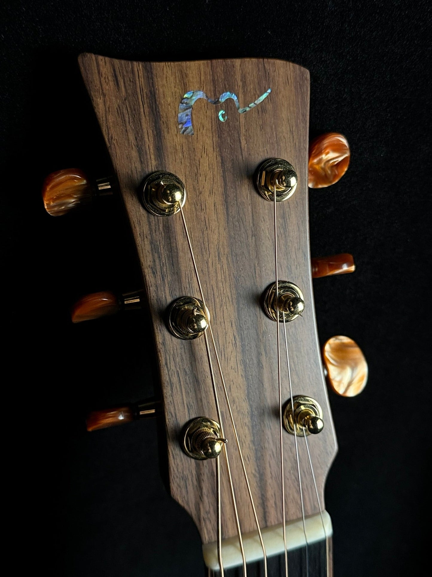 McIlroy A30 Sitka/Indian Rosewood