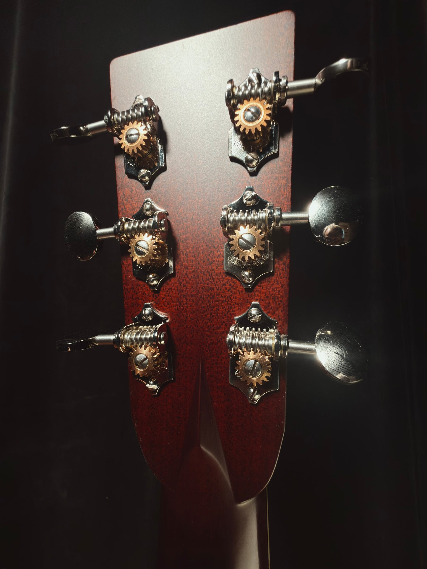 Mint! 2025 Santa Cruz D Model Adirondack/Rosewood