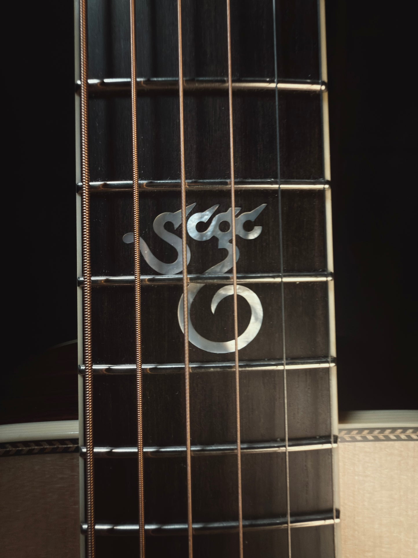 Mint! 2025 Santa Cruz D Model Adirondack/Rosewood