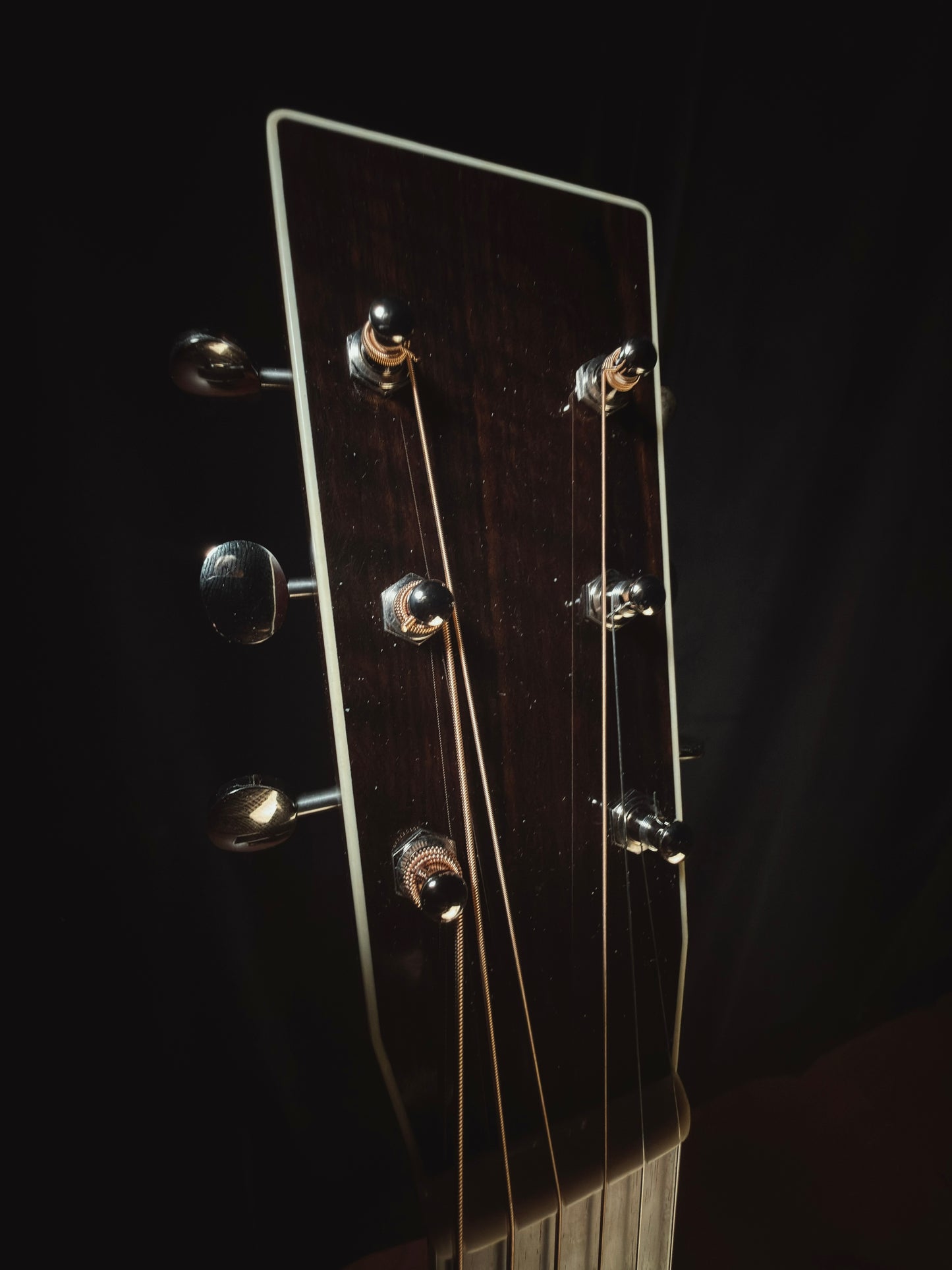 Mint! 2025 Santa Cruz D Model Adirondack/Rosewood