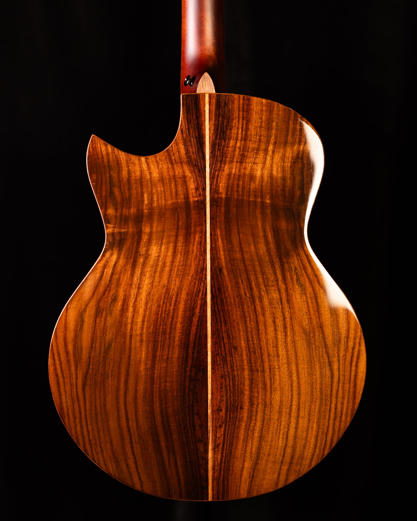Avenir 20-AC-CR Cedar/Rosewood
