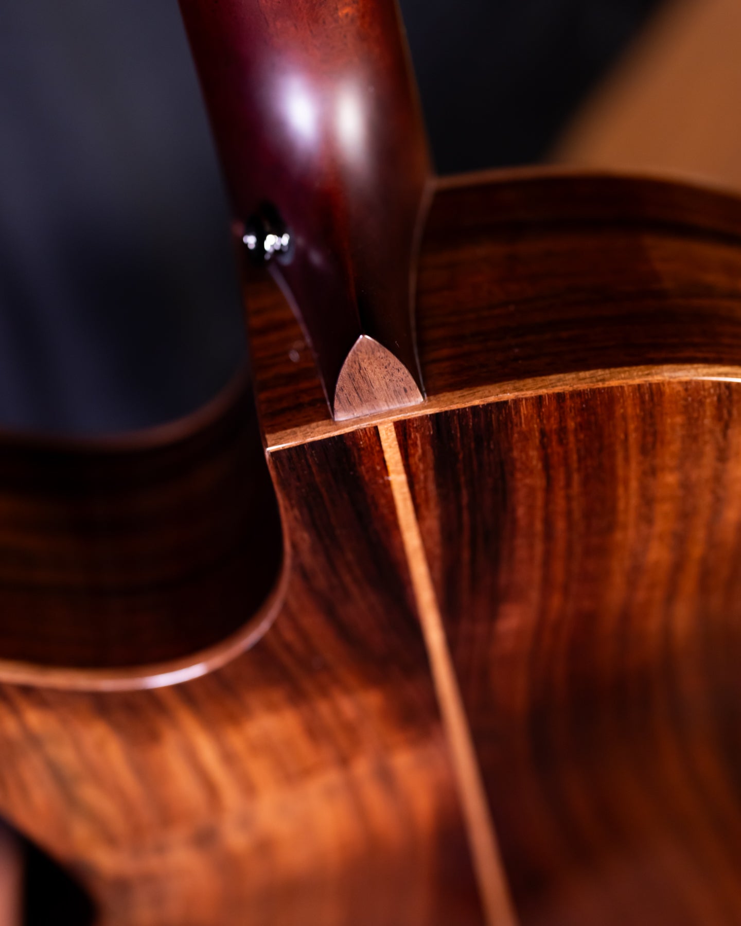 Avenir 20-AC-CR Cedar/Rosewood