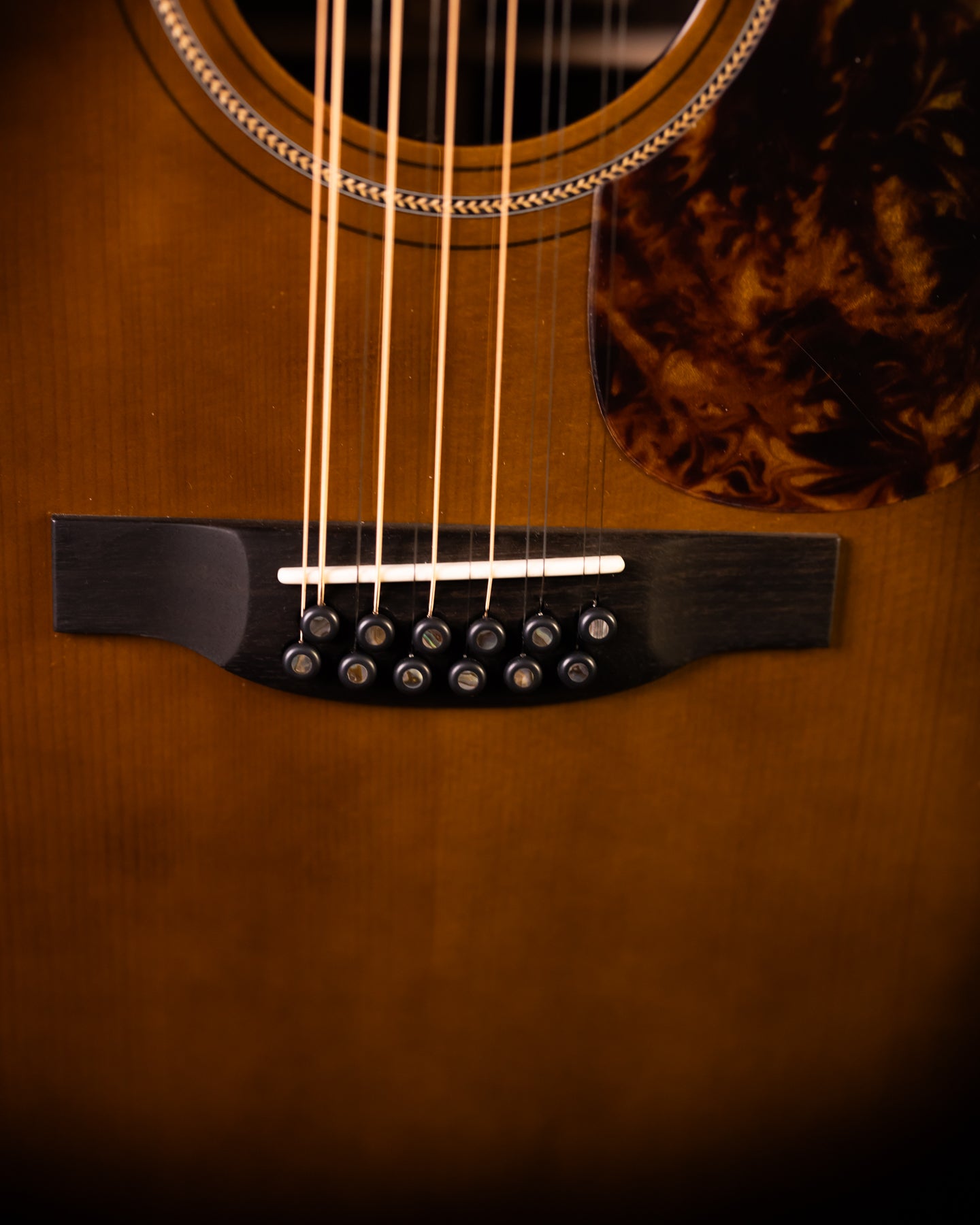 Boucher Studio Goose SG-12-52 BE Adirondack/Rosewood 12 String w/Pickup!