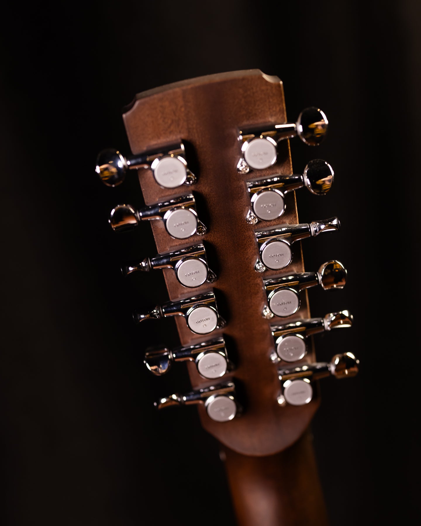 Boucher Studio Goose SG-12-52 BE Adirondack/Rosewood 12 String w/Pickup!