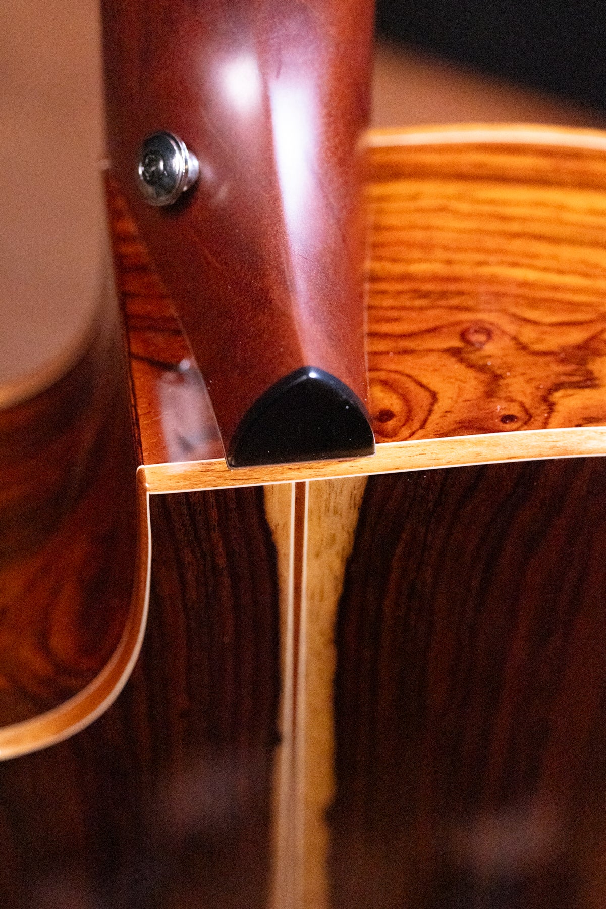 Used Furch Red Deluxe Gc-Lc Grand Auditorium Alpine/Cocobolo