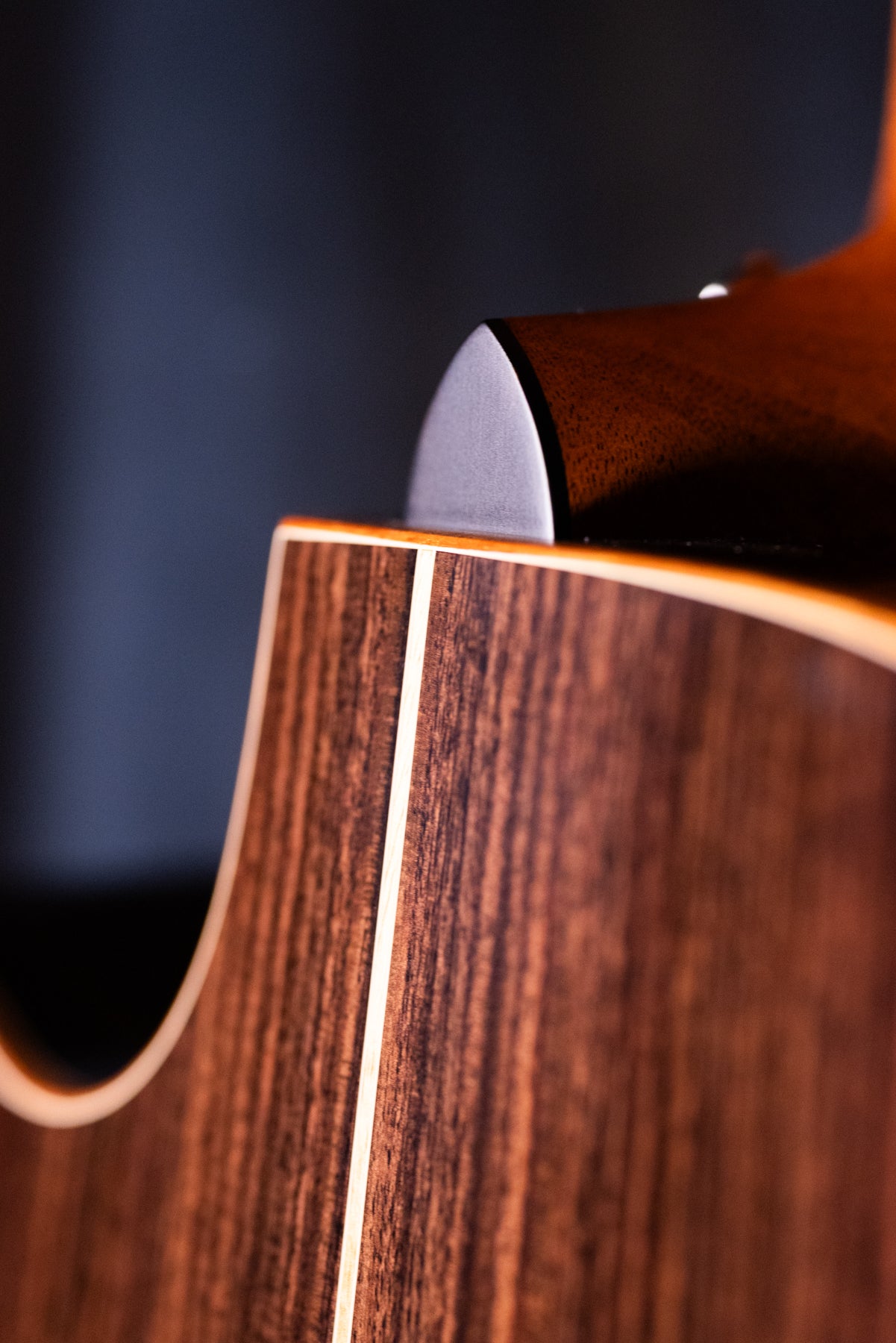 Furch 7 String Red Gc-SRa7 Sitka/Indian Rosewood