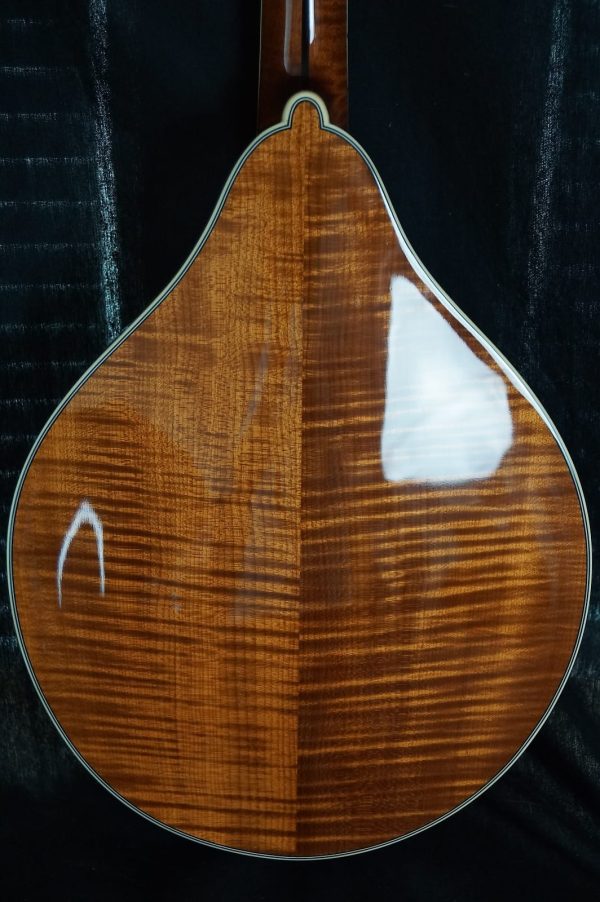 Brand New Bourgeois A Style Mandolin Model M5A Adi Top / Flamed Bosnian Maple ALL TORRIFIED - Back Body Detail