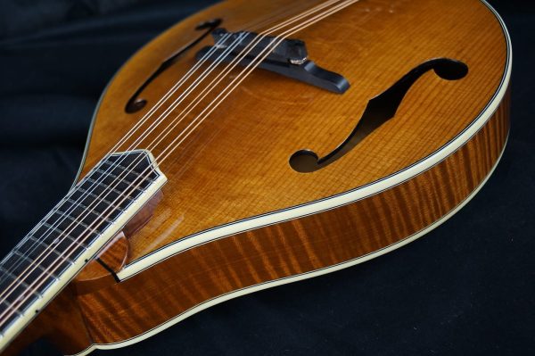 Brand New Bourgeois A Style Mandolin Model M5A Adi Top / Flamed Bosnian Maple ALL TORRIFIED - Body Detail