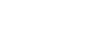 The Fretted Buffalo acoustic guitars